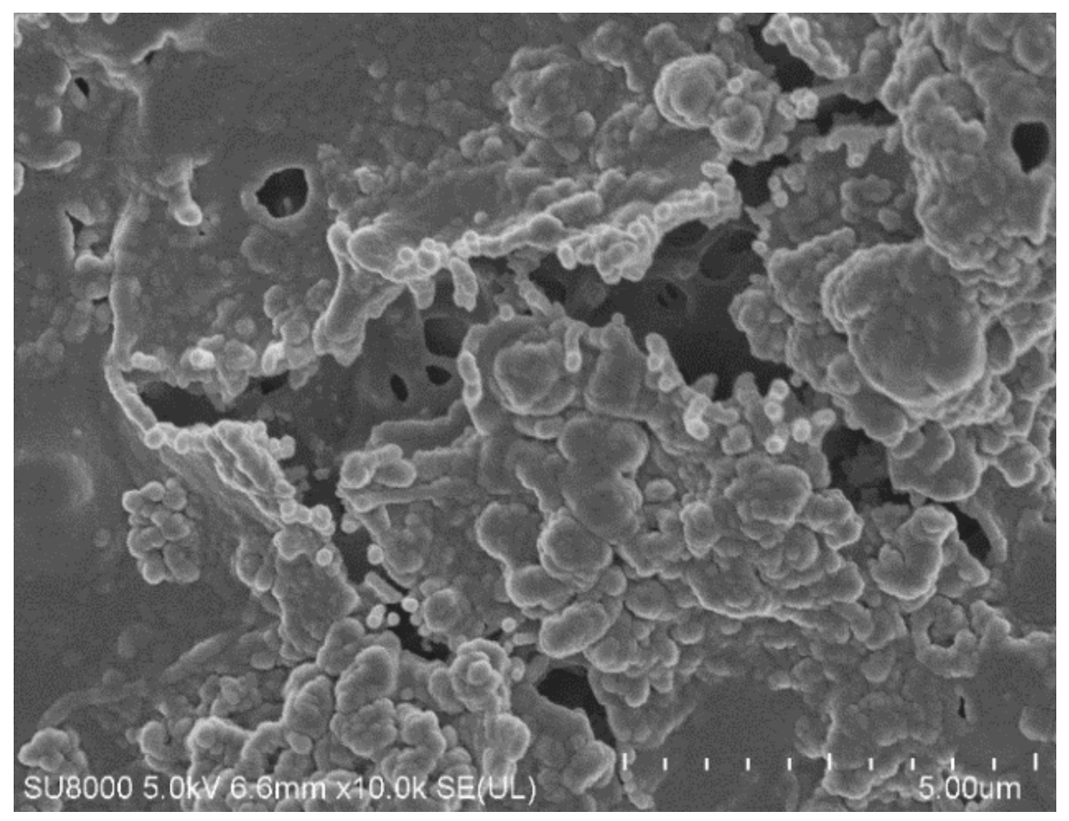 Membranes 12 00351 g014