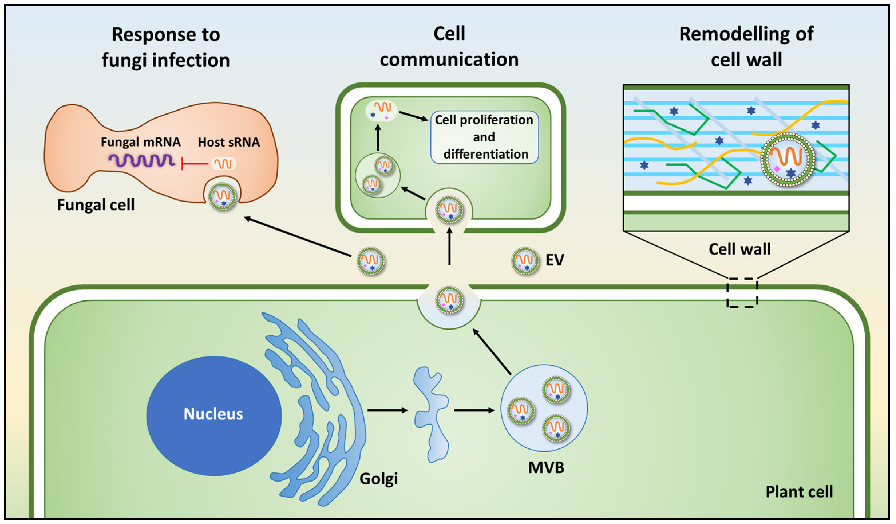 Membranes 12 00352 g002