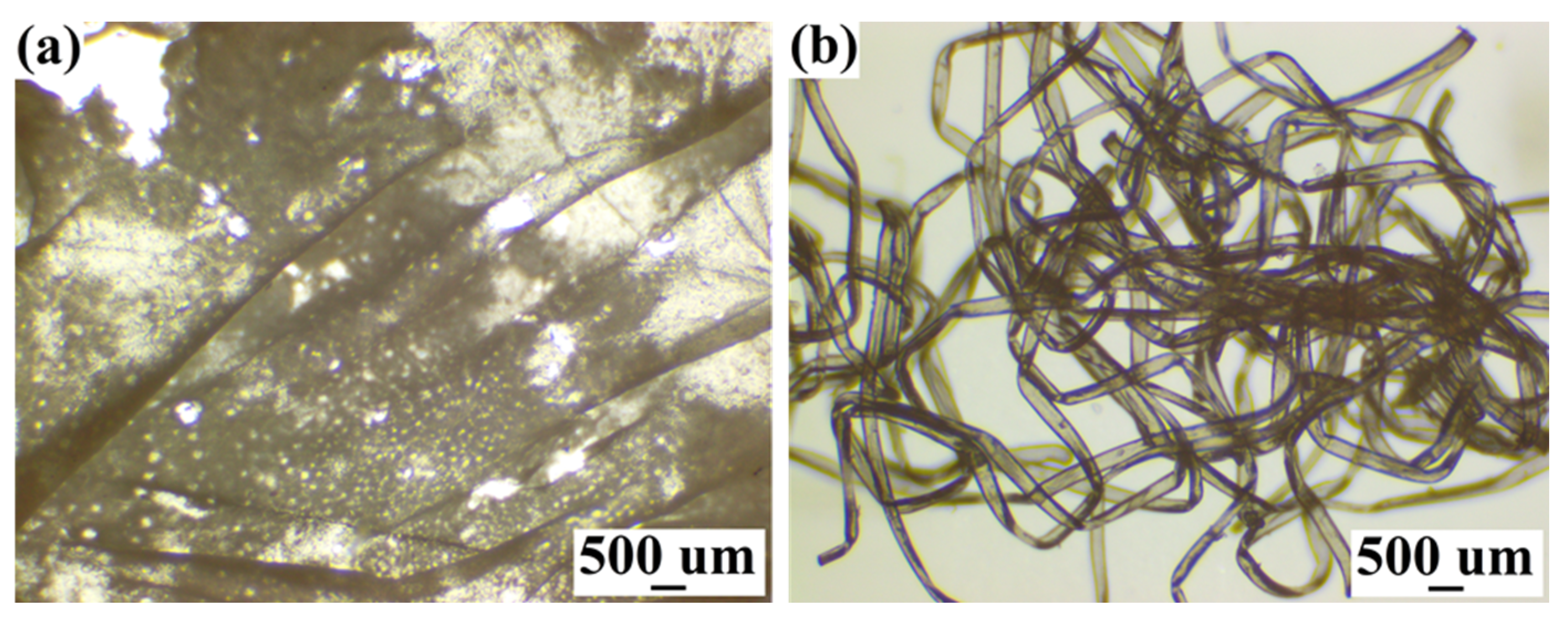 Membranes 12 00355 g001