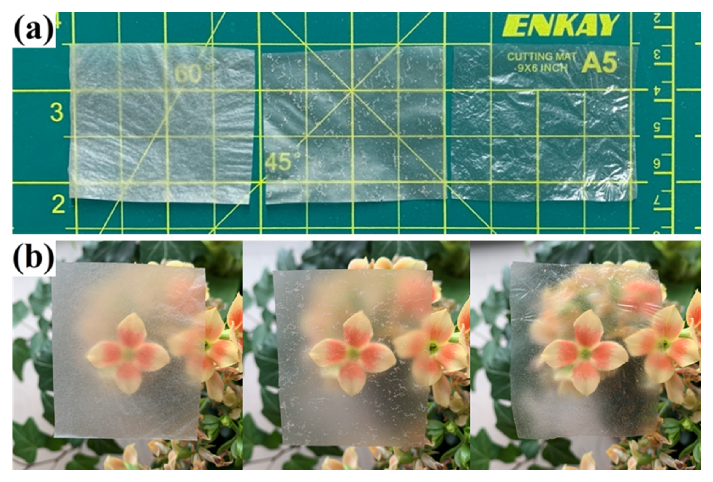 Membranes 12 00355 g004