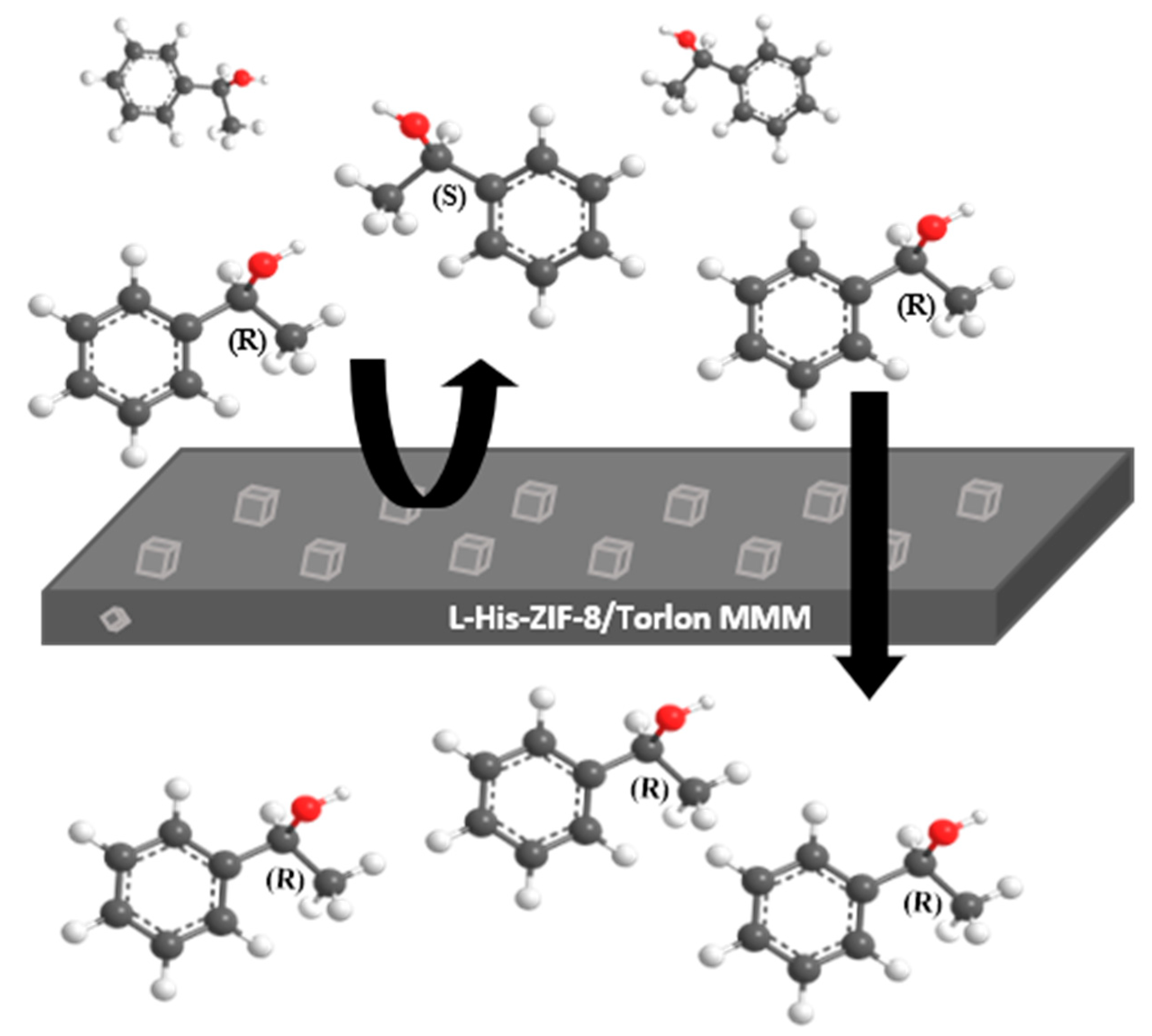 Membranes 12 00357 g001