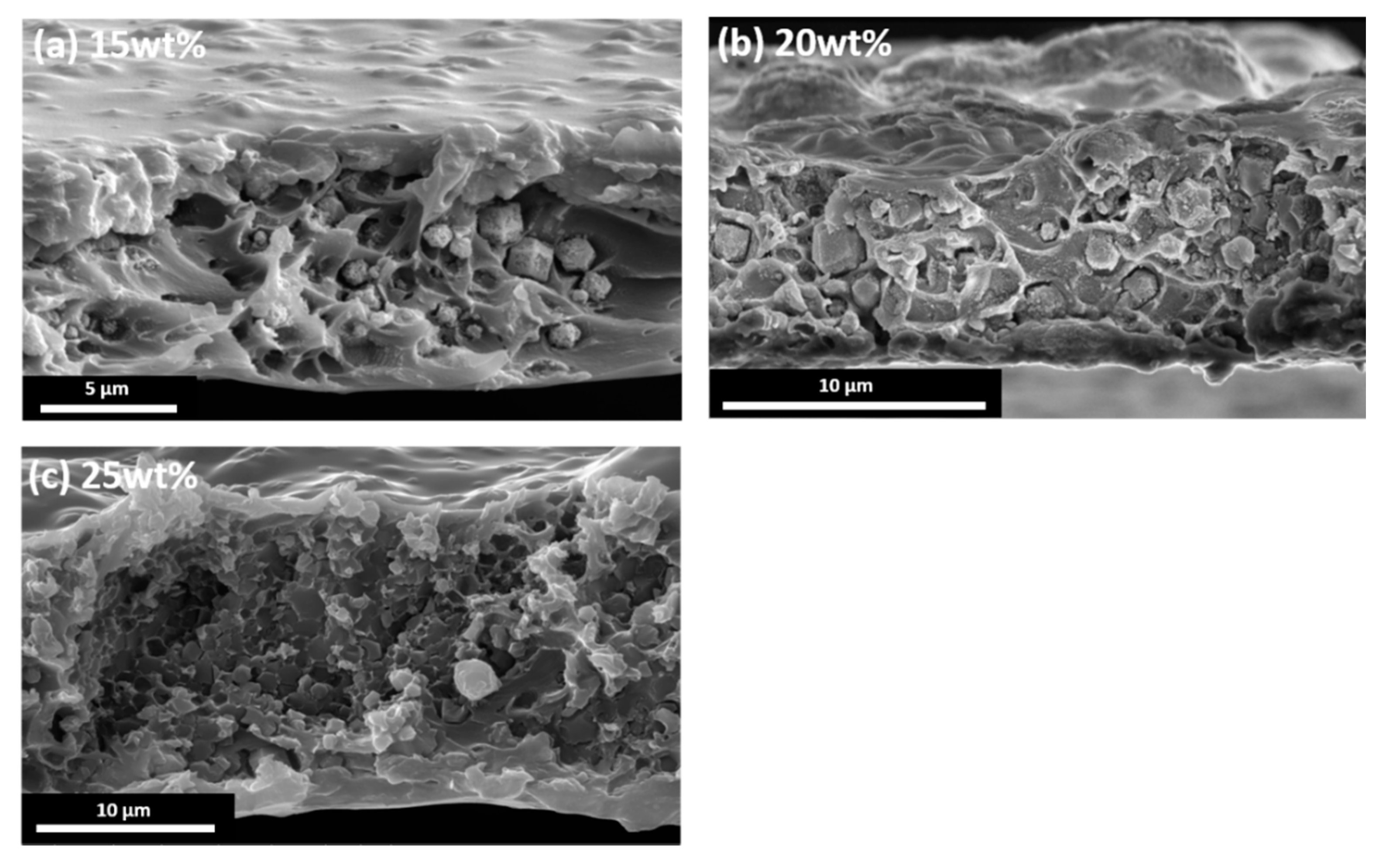 Membranes 12 00357 g007