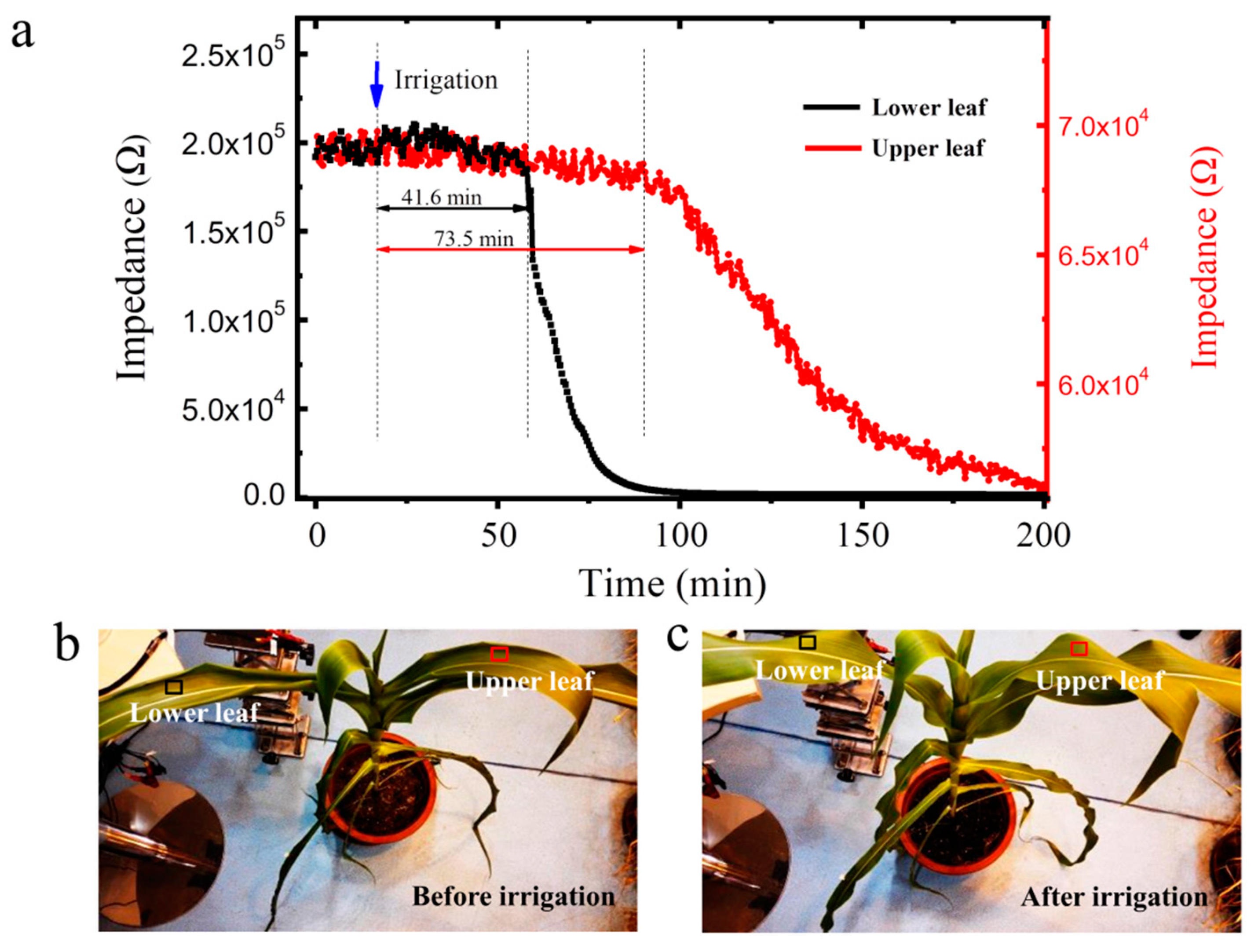 Membranes 12 00358 g007