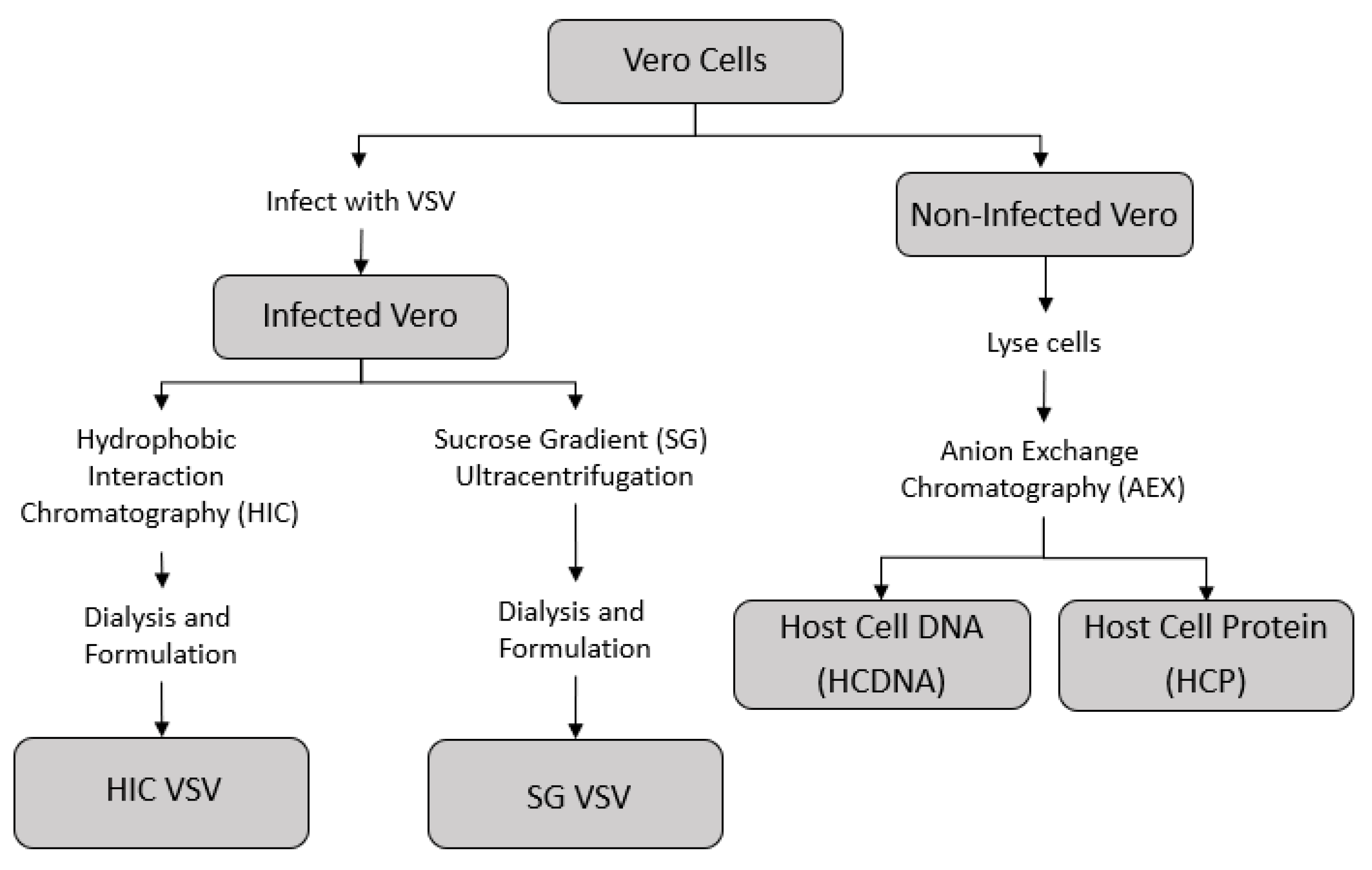 Membranes 12 00359 g001