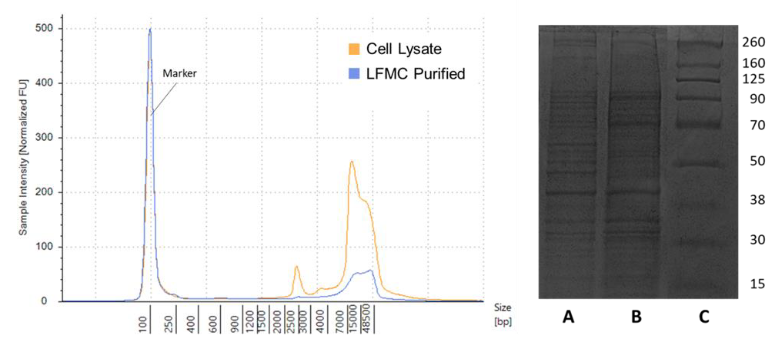 Membranes 12 00359 g002