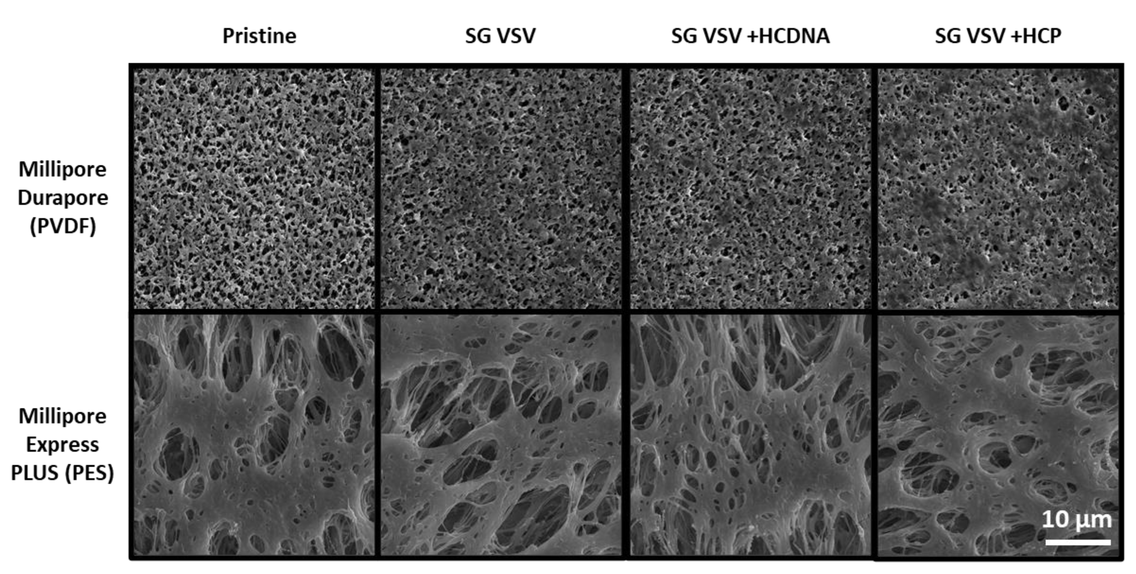 Membranes 12 00359 g005