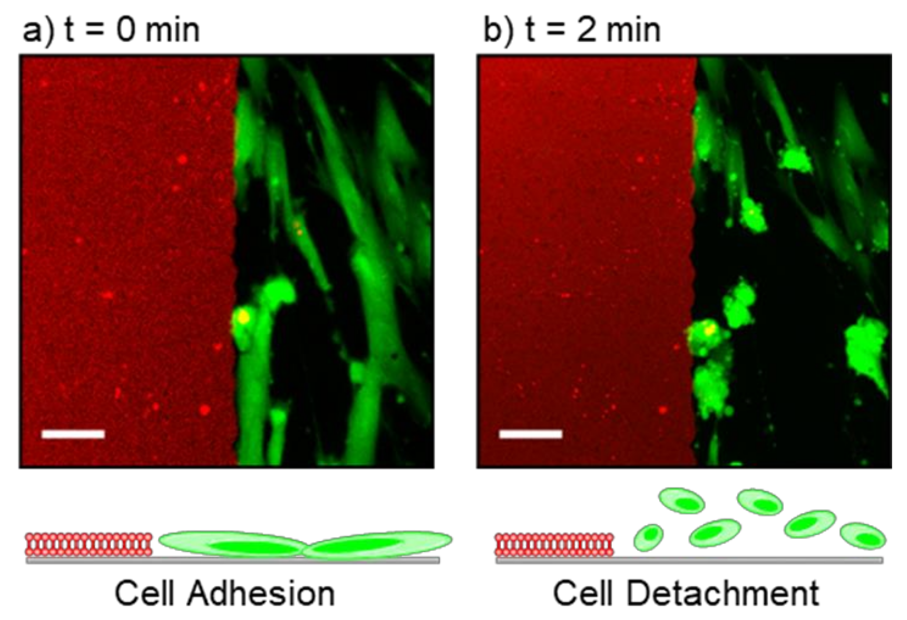 Membranes 12 00361 g006 550