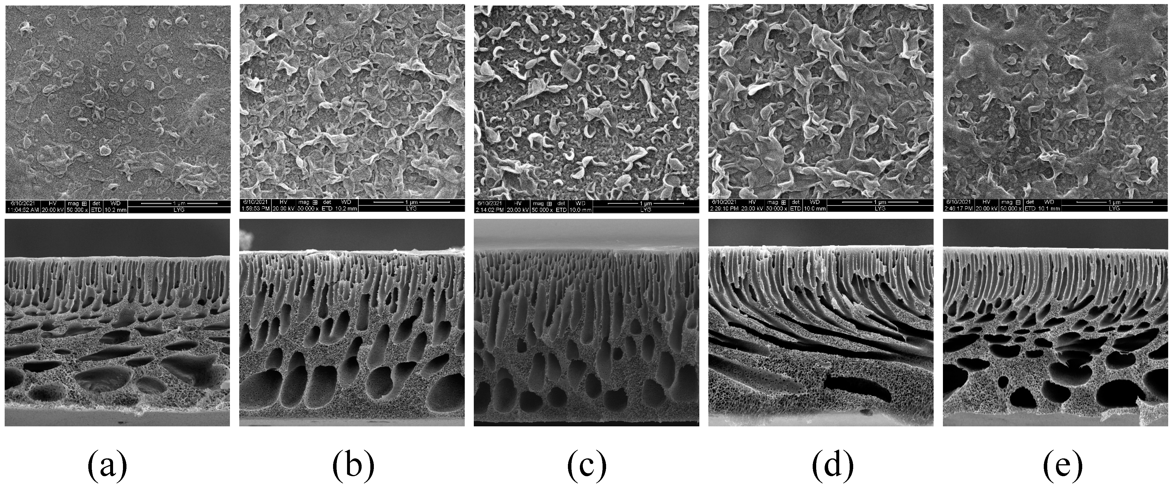 Membranes 12 00368 g007