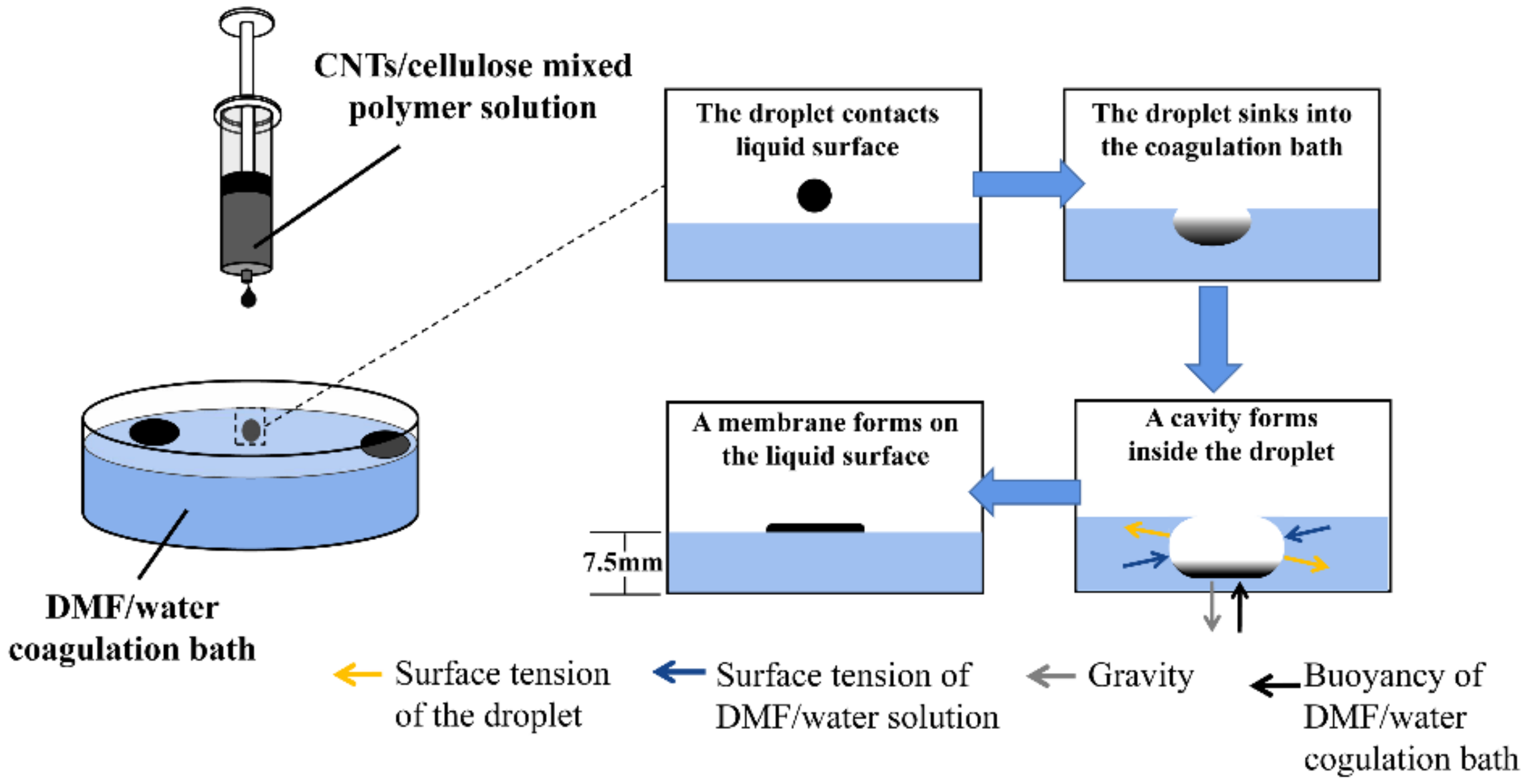 Membranes 12 00369 g001 Membranes 12 00369 g001
