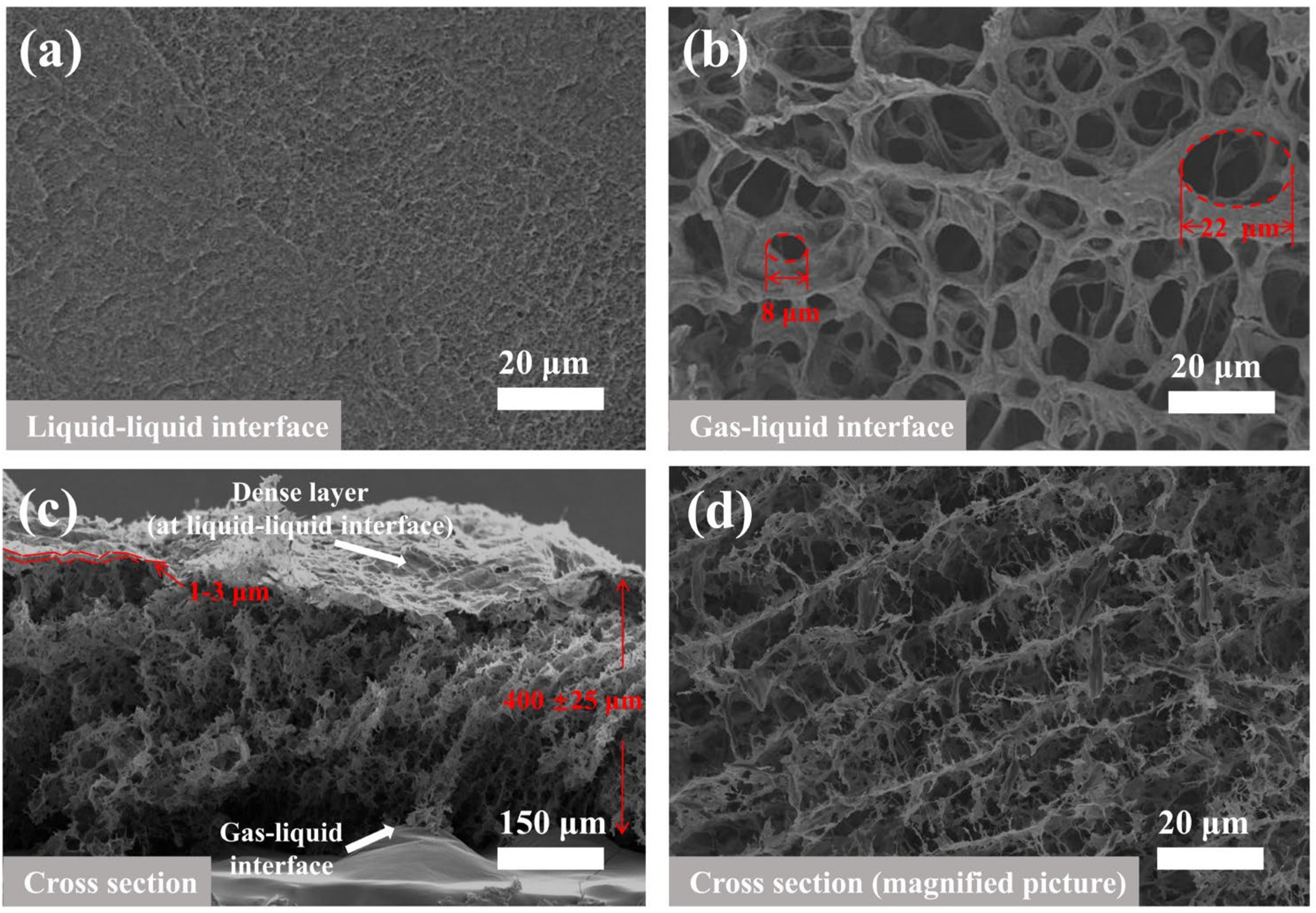 Membranes 12 00369 g004 Membranes 12 00369 g004
