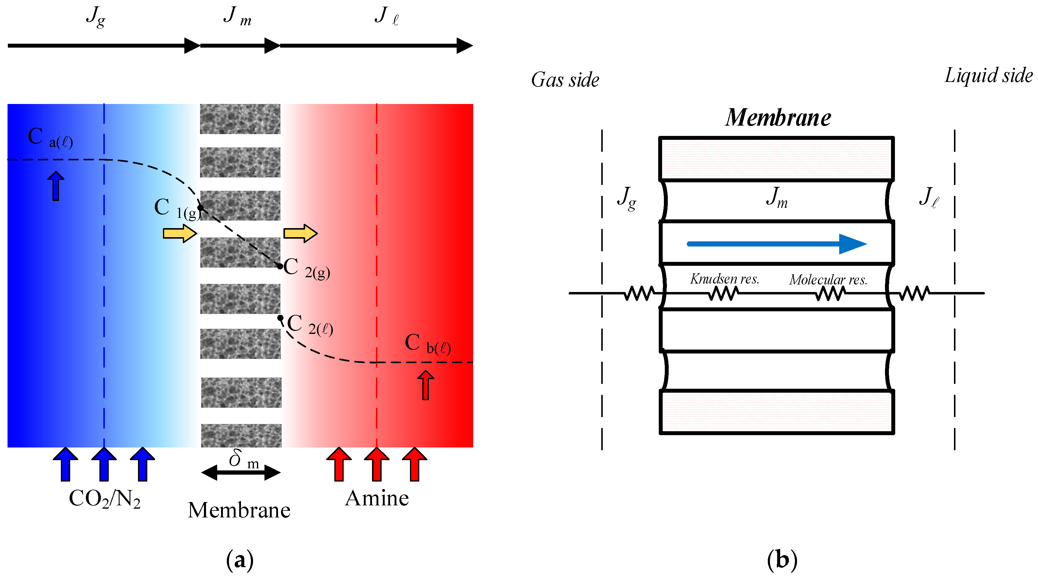 Membranes 12 00370 g005