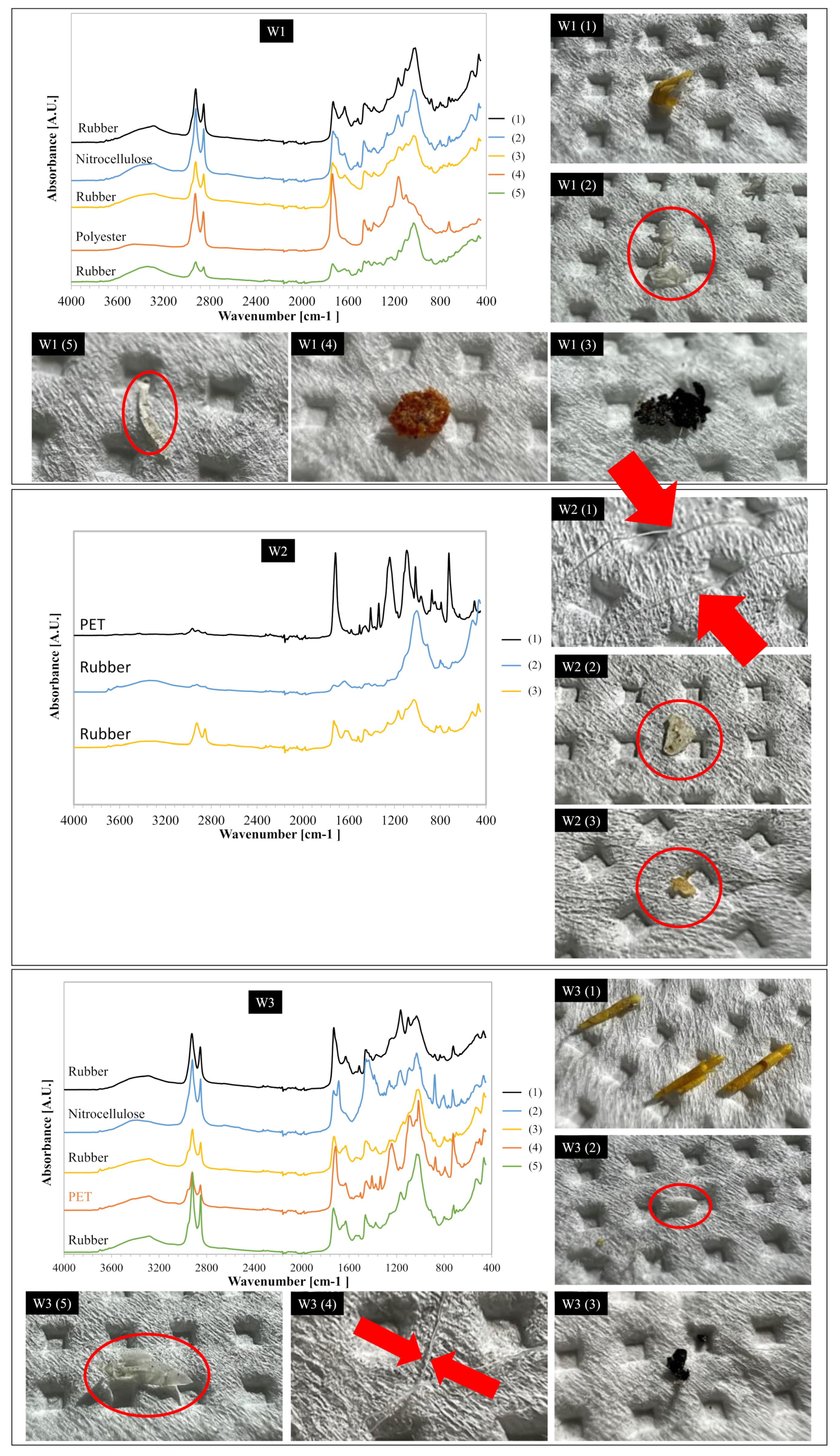 Membranes 12 00371 g004