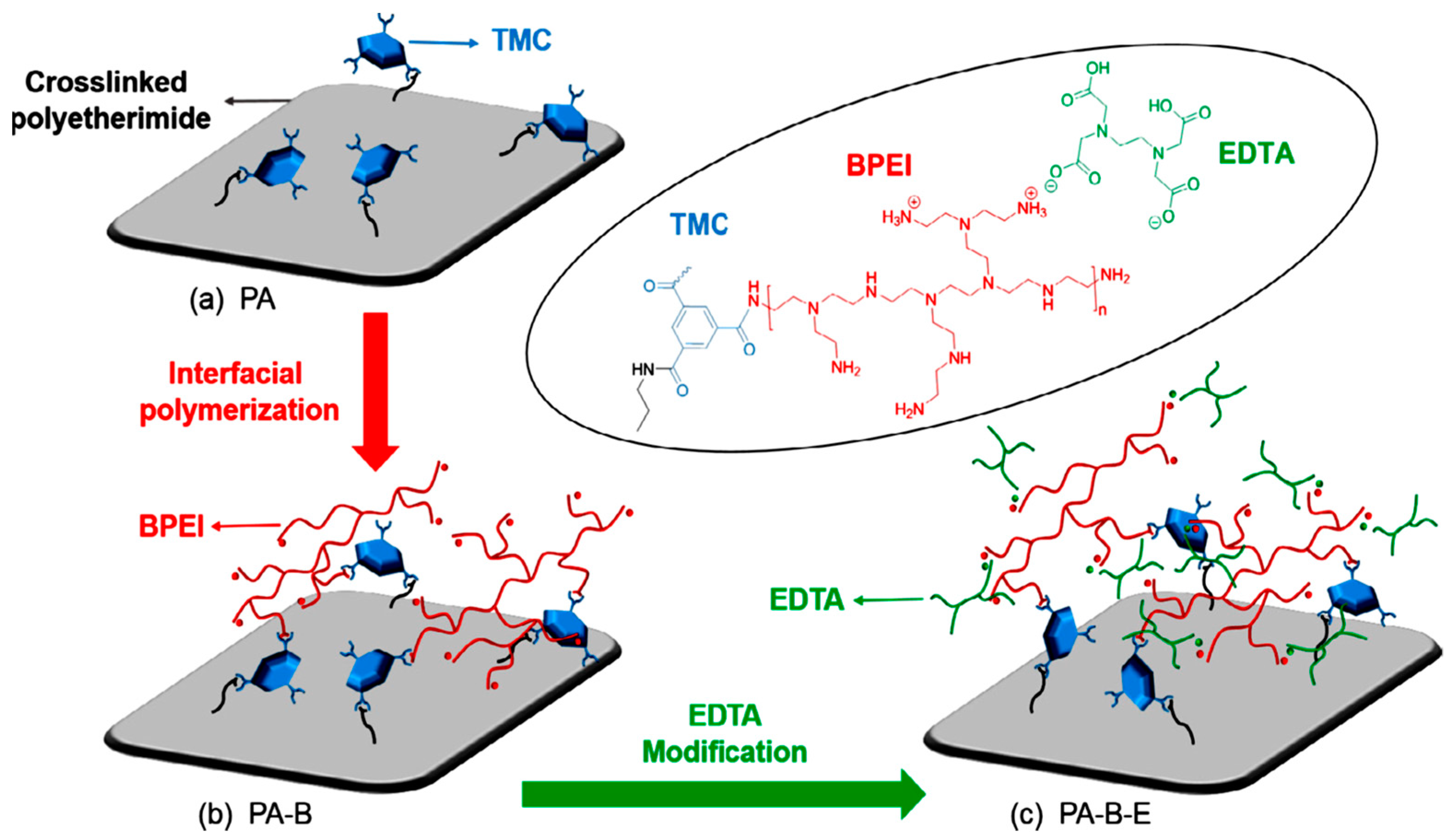 Membranes 12 00373 g010