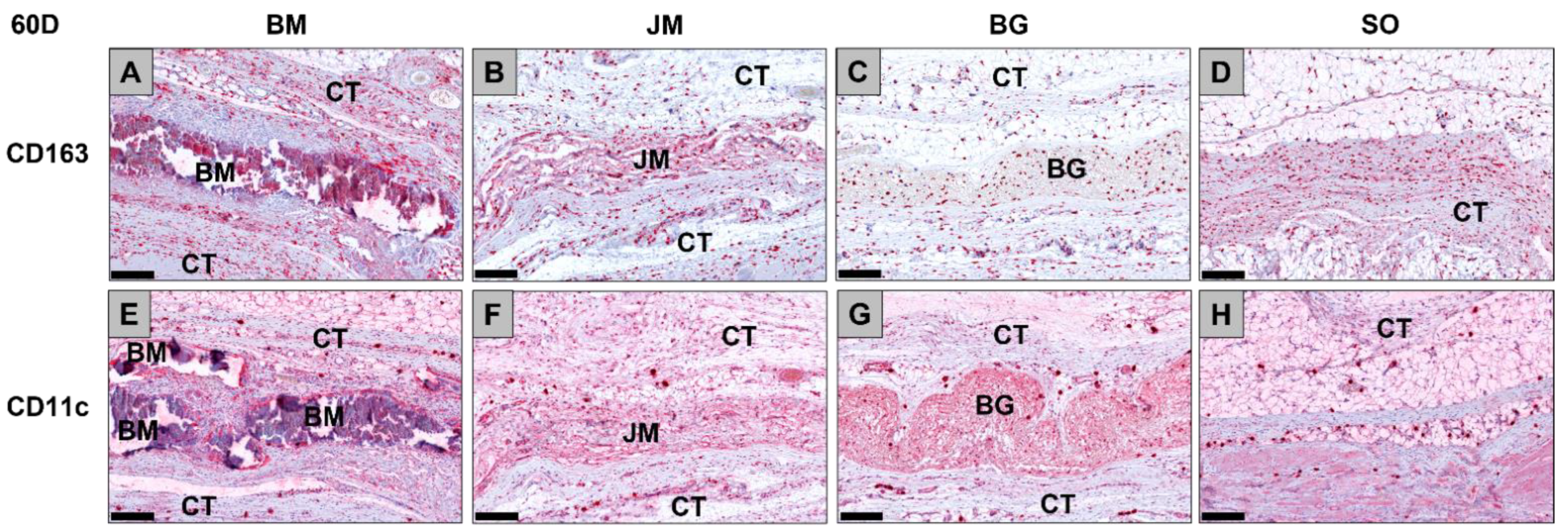 Membranes 12 00378 g009