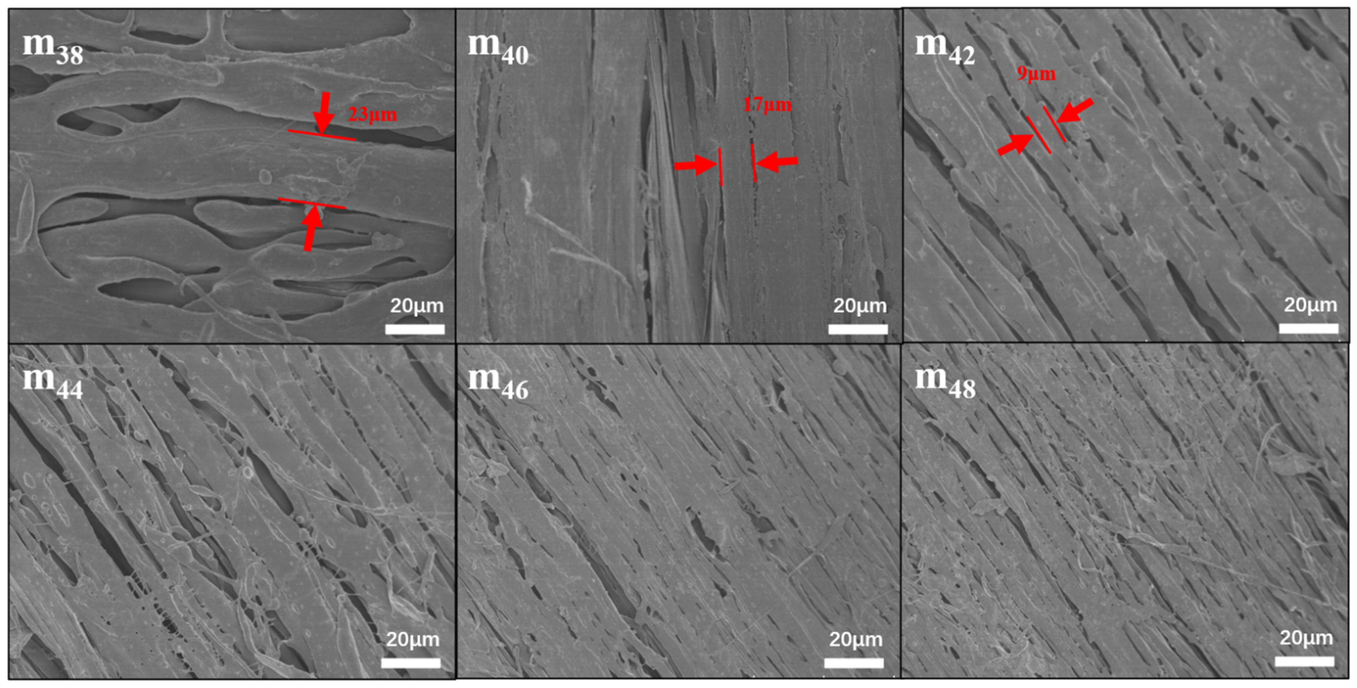 Membranes 12 00384 g002