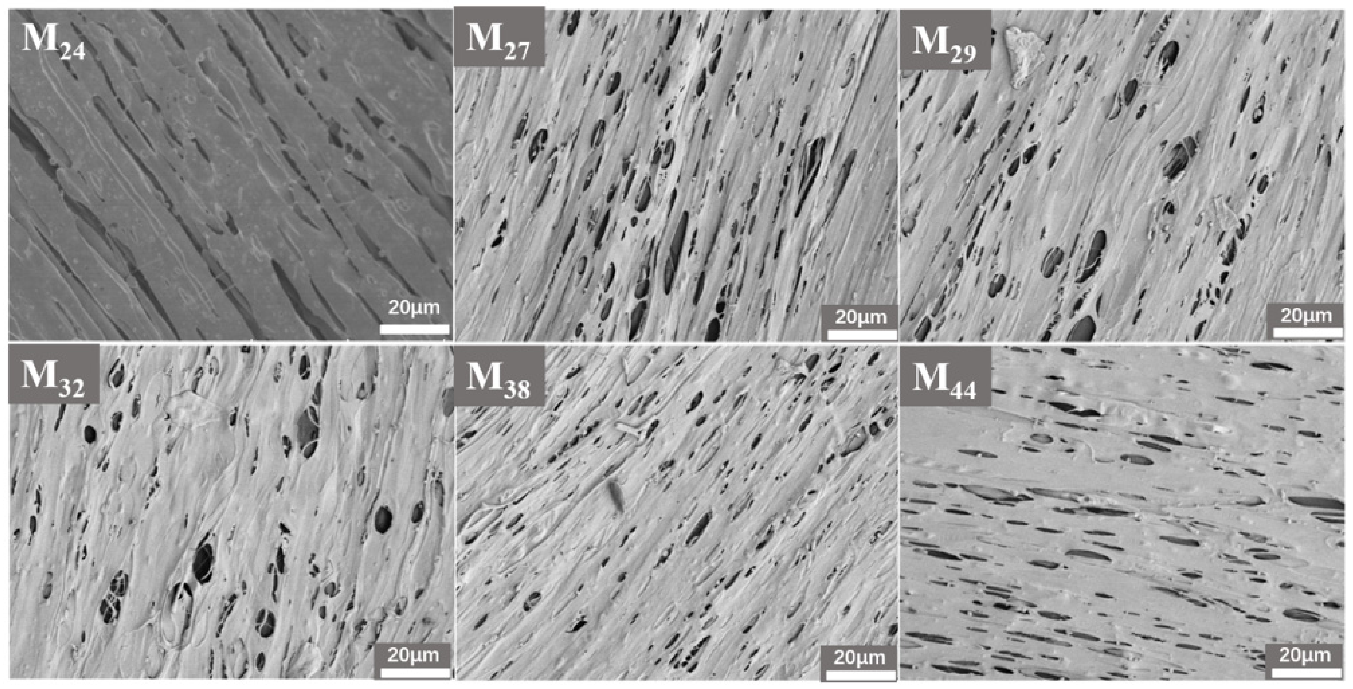Membranes 12 00384 g008