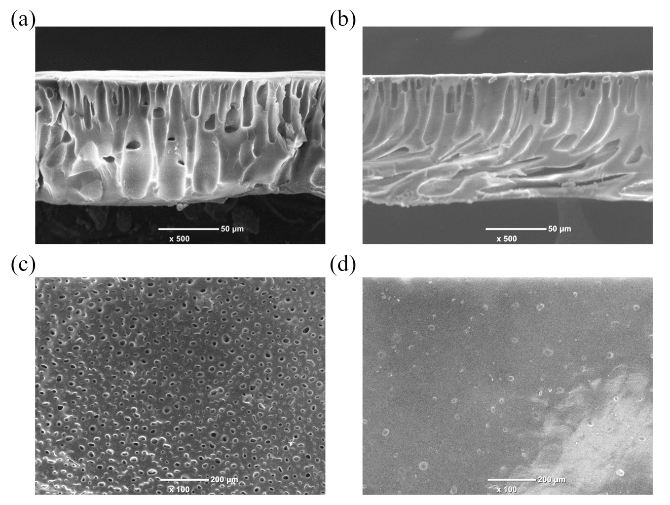 Membranes 12 00388 g001