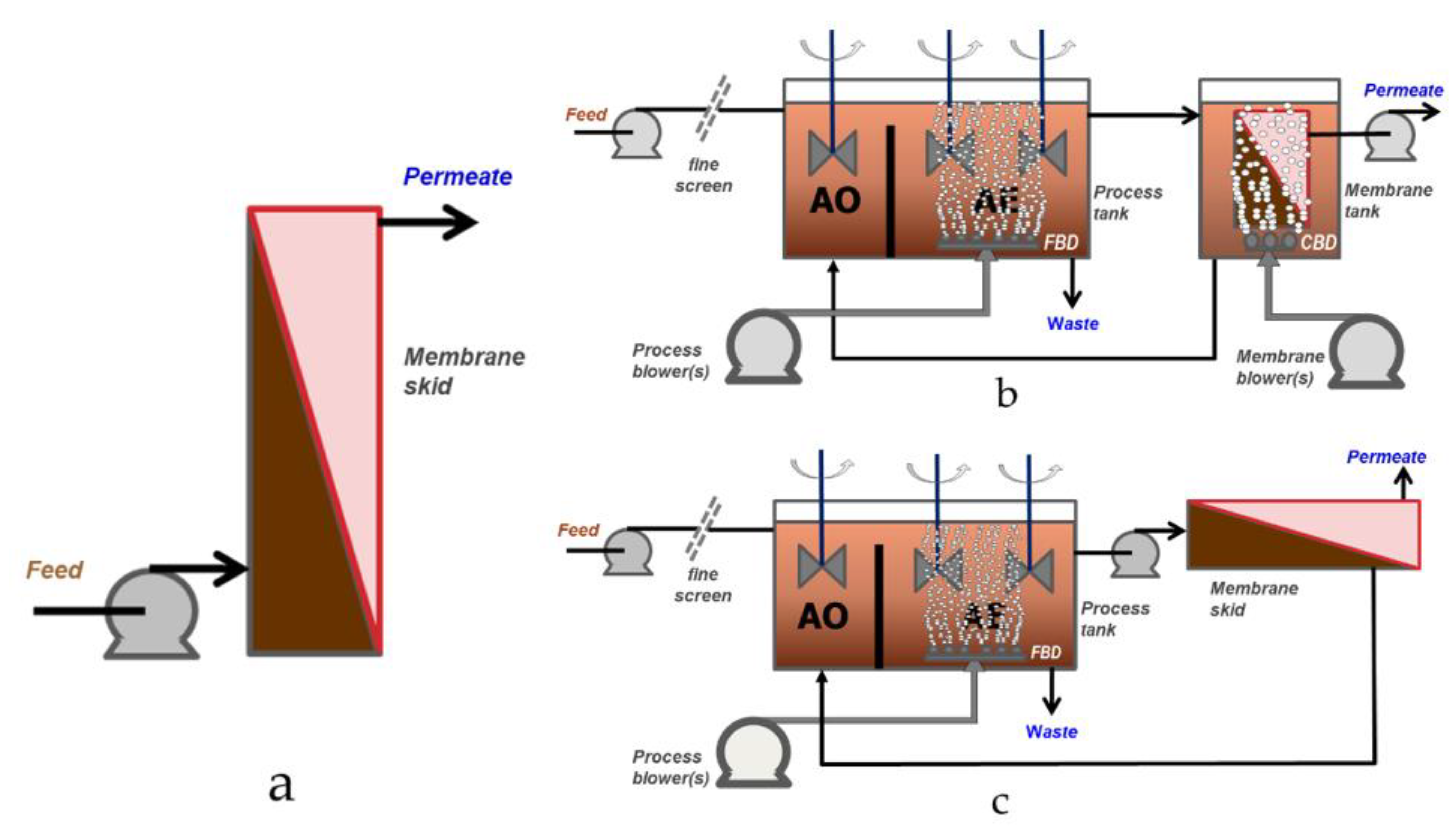 Membranes 12 00391 g003
