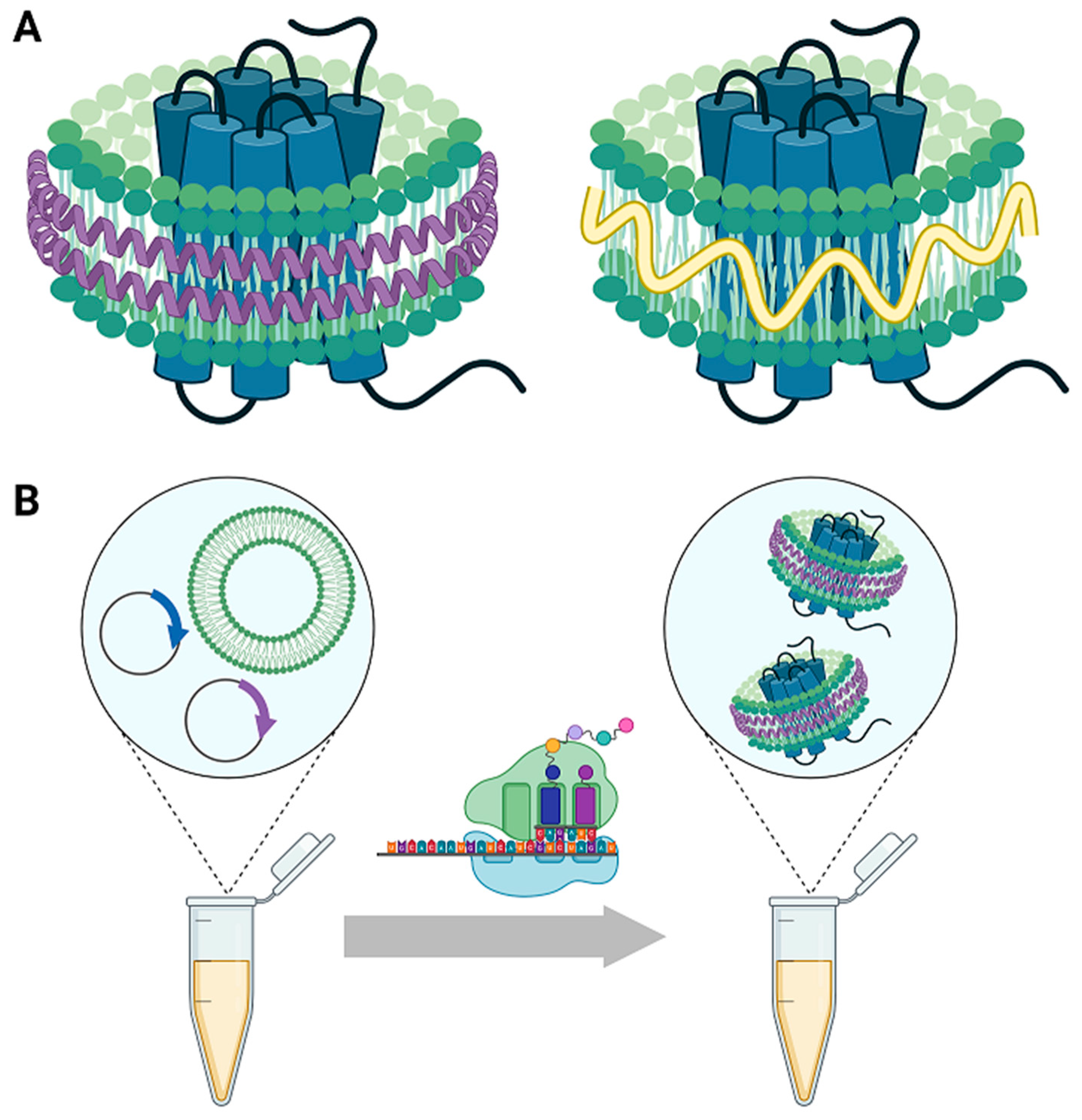 Membranes 12 00392 g001 Membranes 12 00392 g001