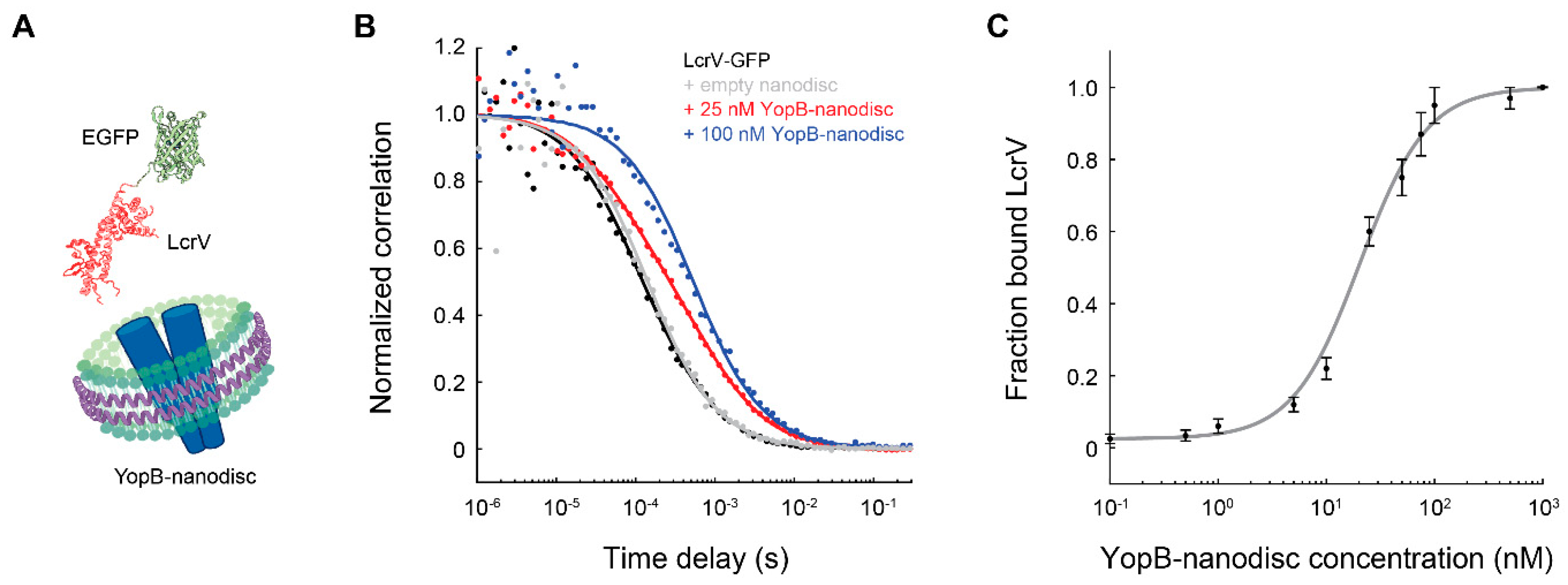 Membranes 12 00392 g003 Membranes 12 00392 g003