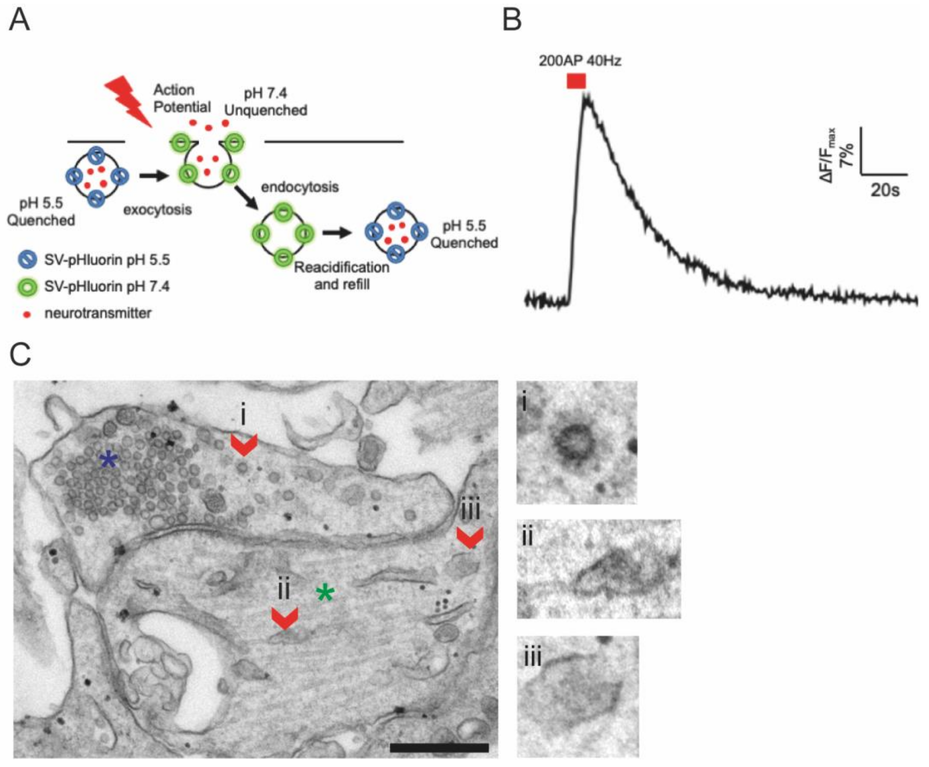 Membranes 12 00393 g005