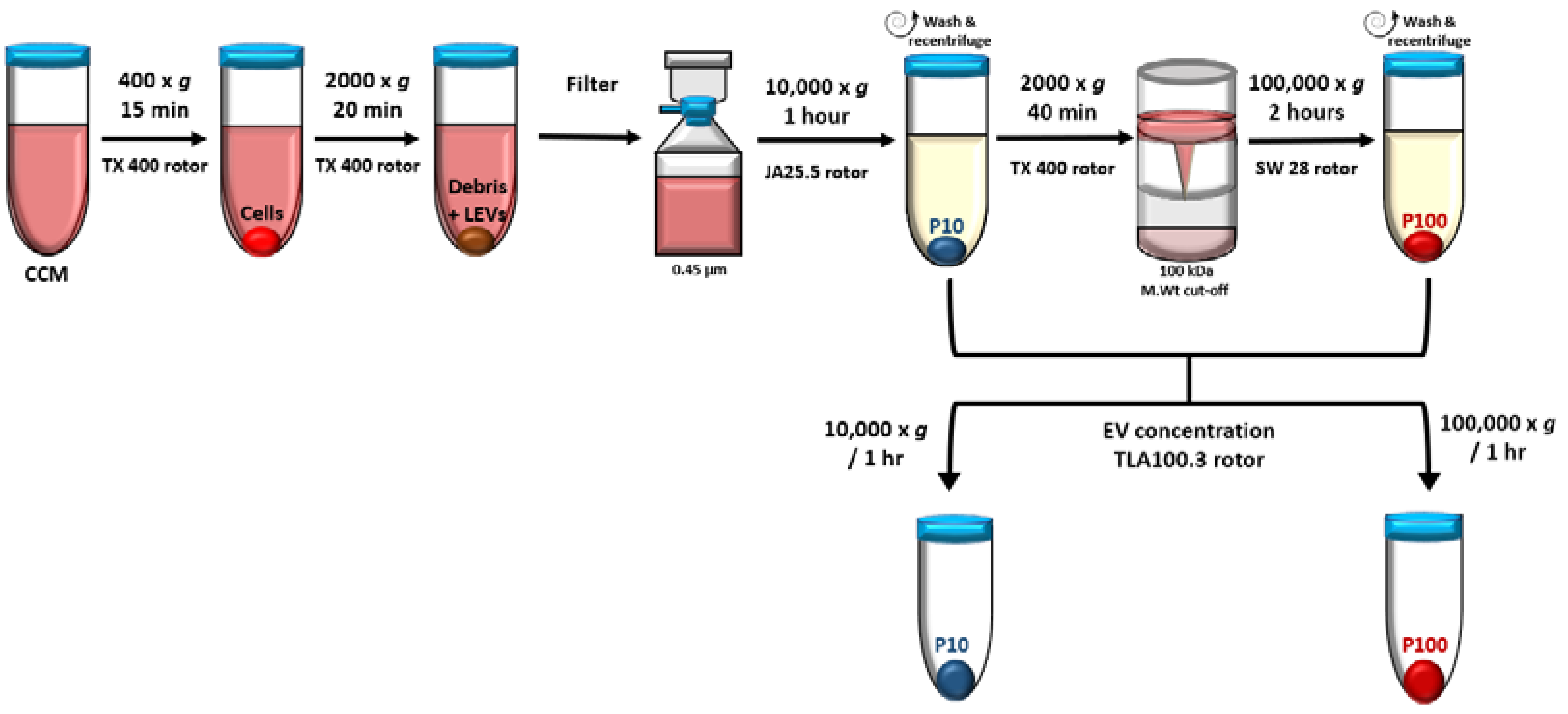 Membranes 12 00397 g002