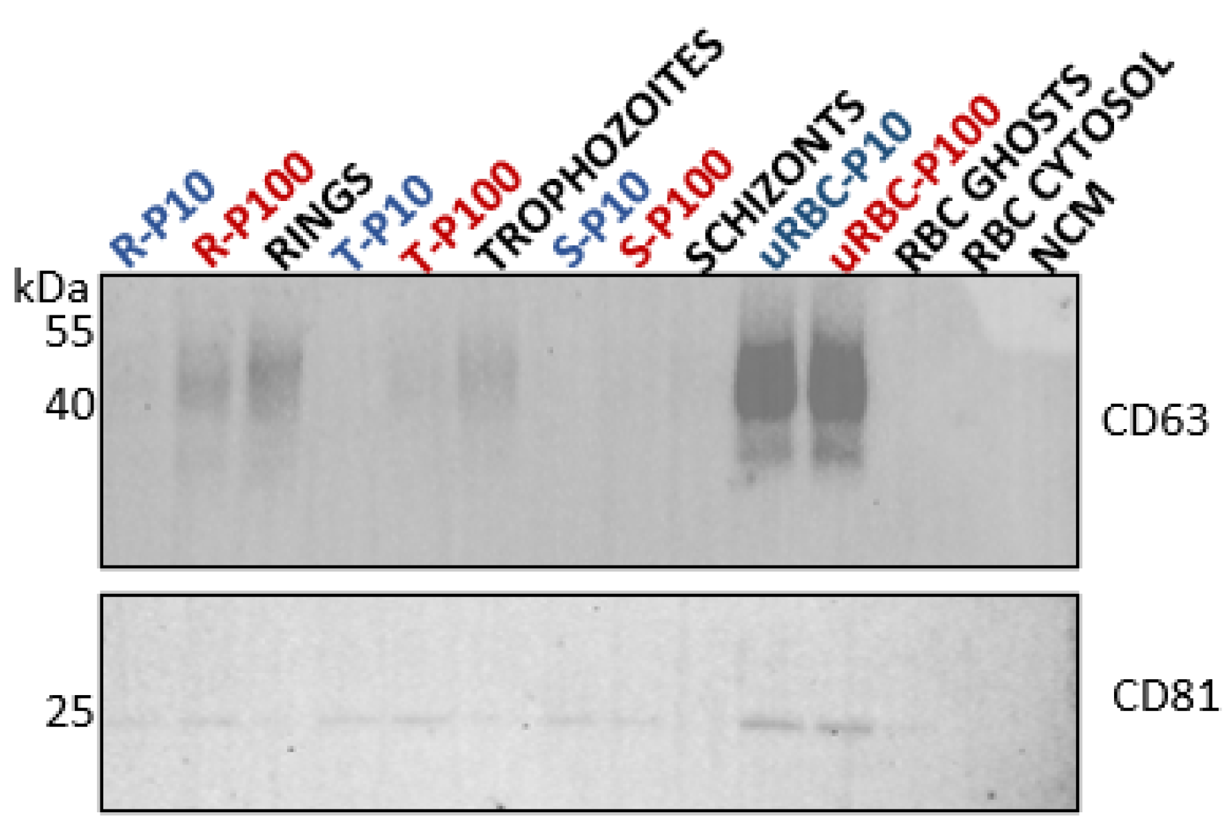 Membranes 12 00397 g007