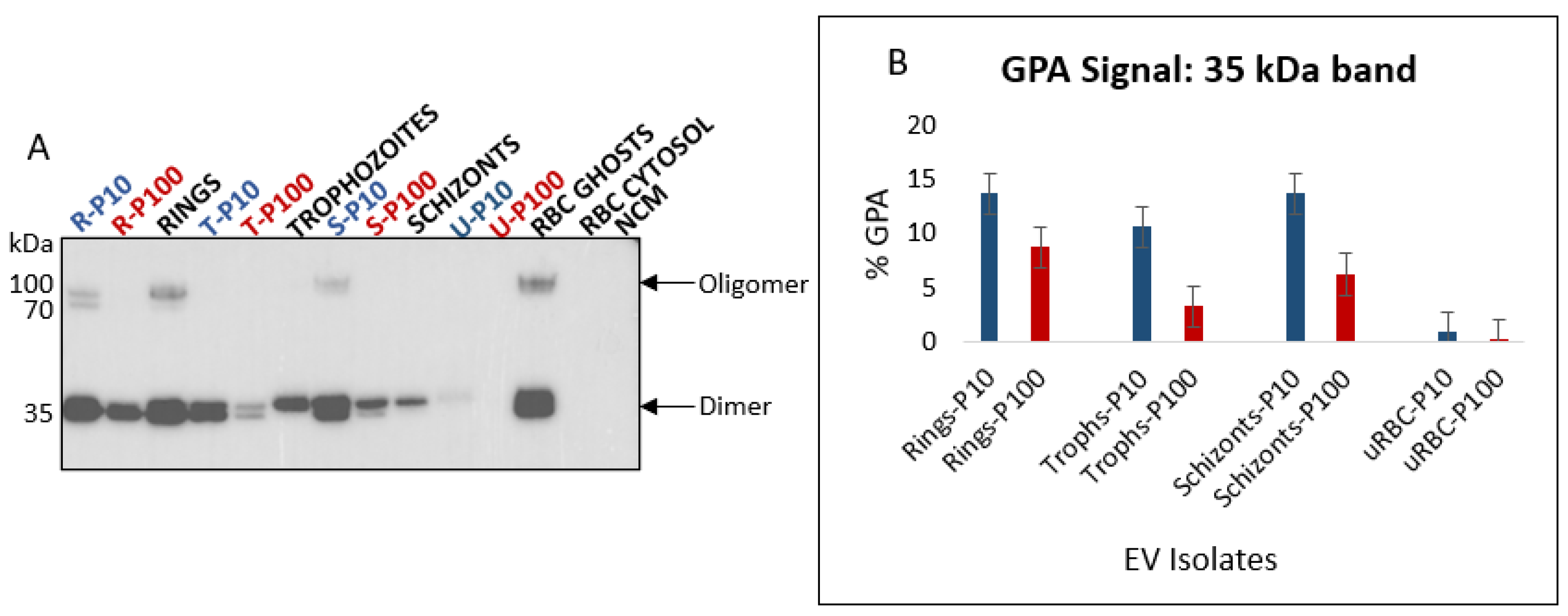 Membranes 12 00397 g008