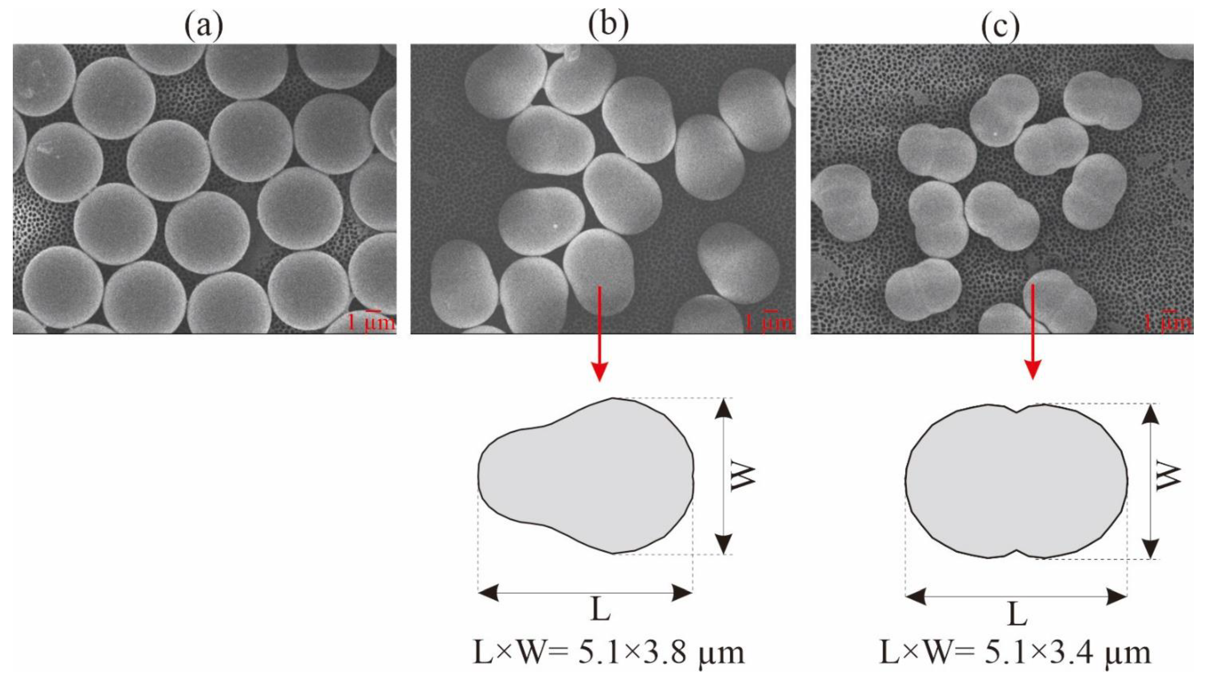 Membranes 12 00403 g001