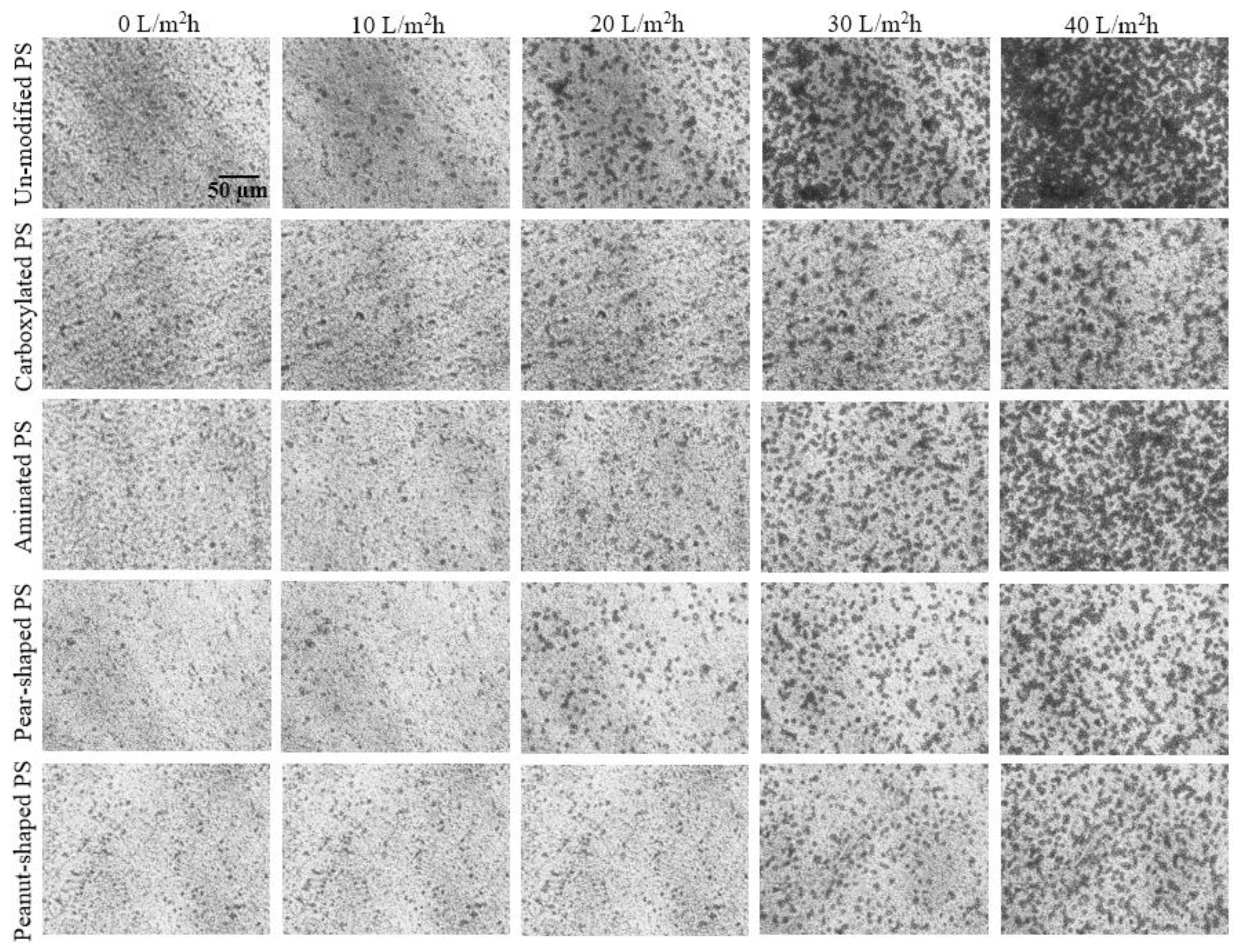 Membranes 12 00403 g006