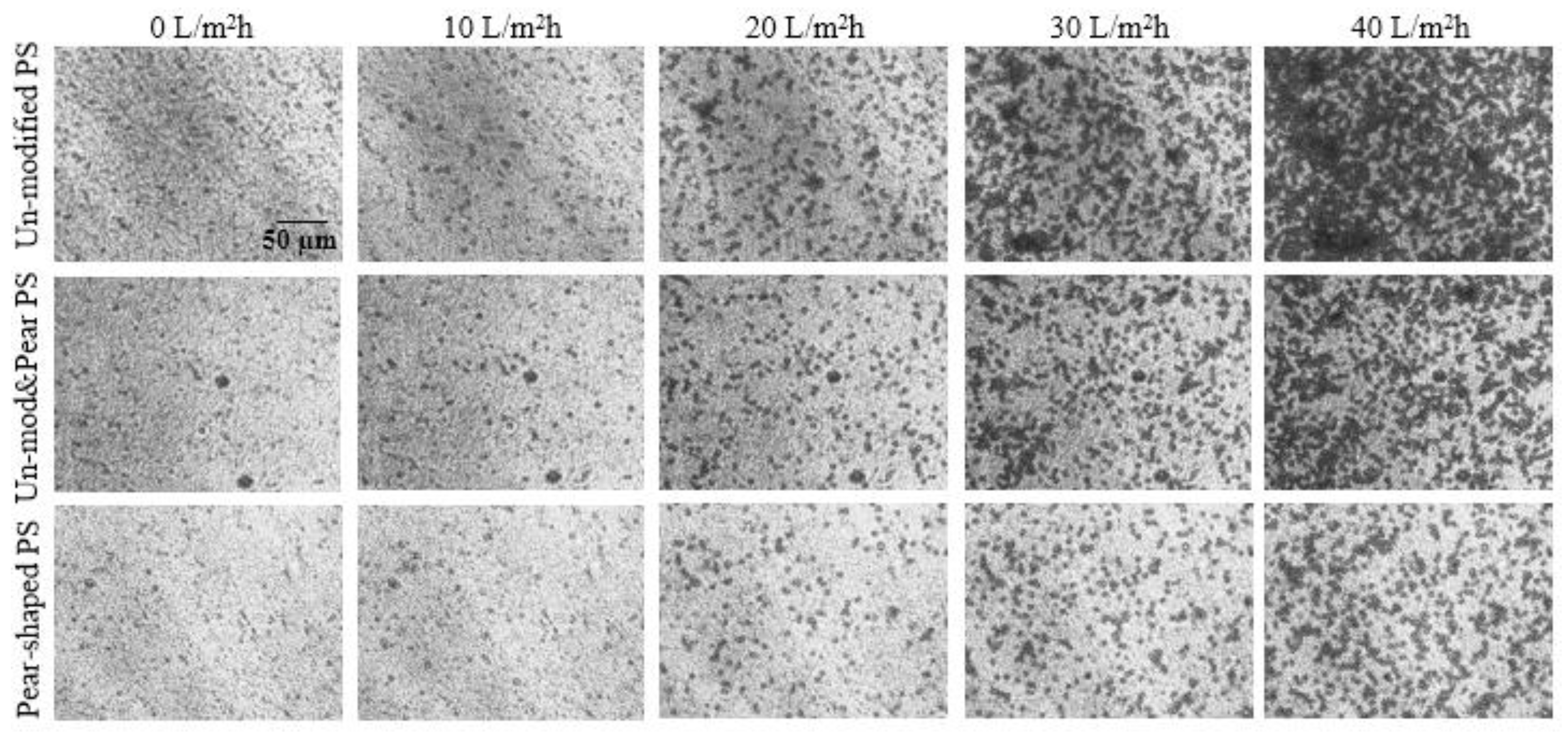 Membranes 12 00403 g0a2