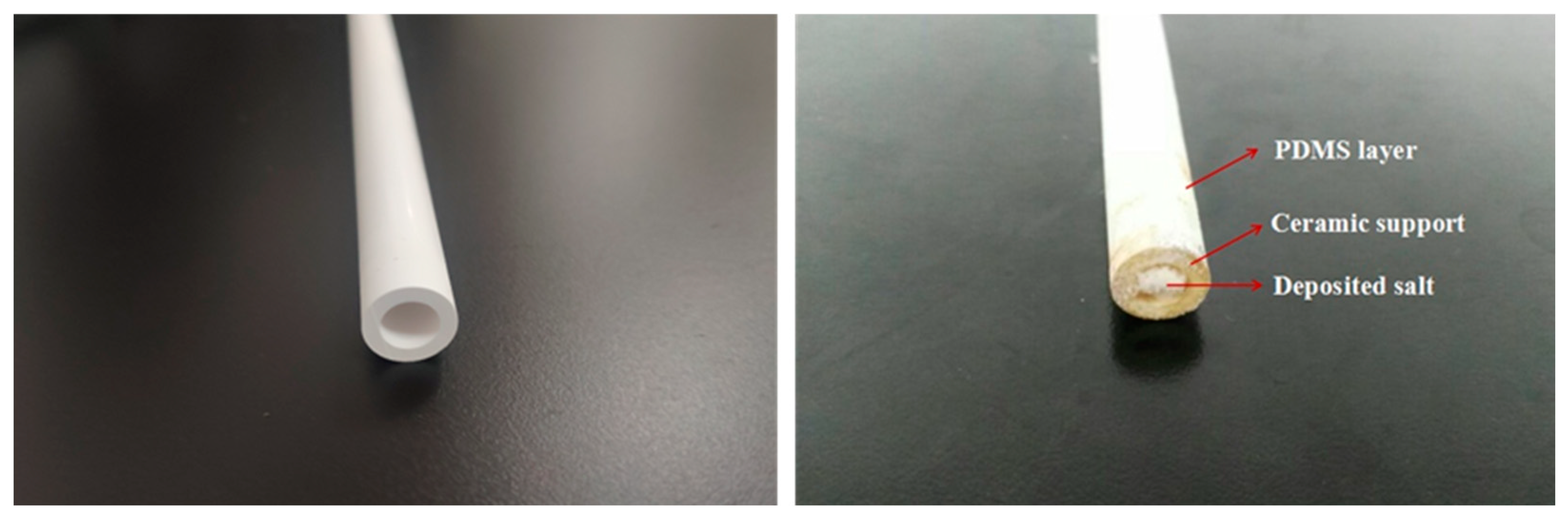 Membranes 12 00404 g005