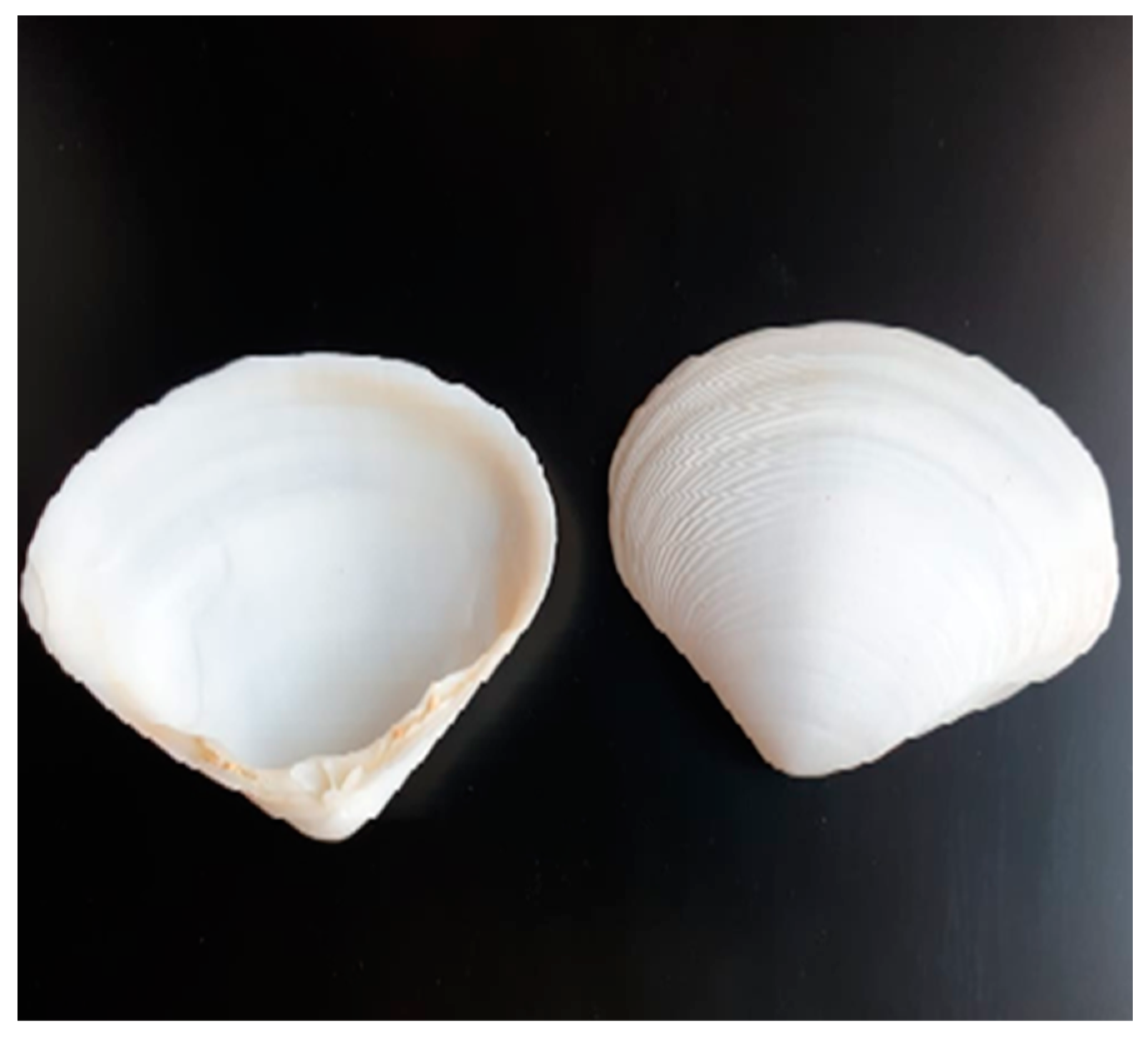 Membranes 12 00408 g001 550