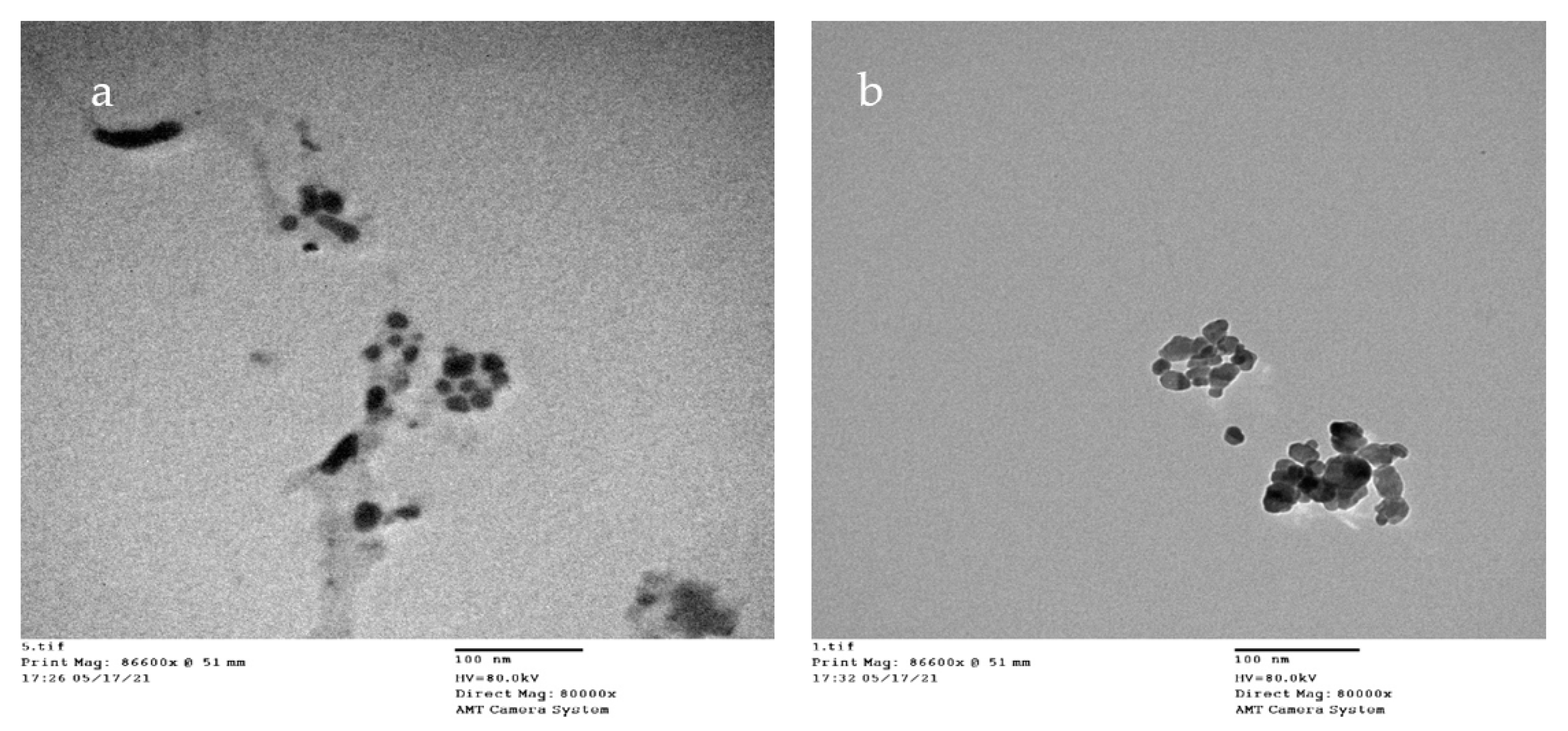Membranes 12 00408 g004 550