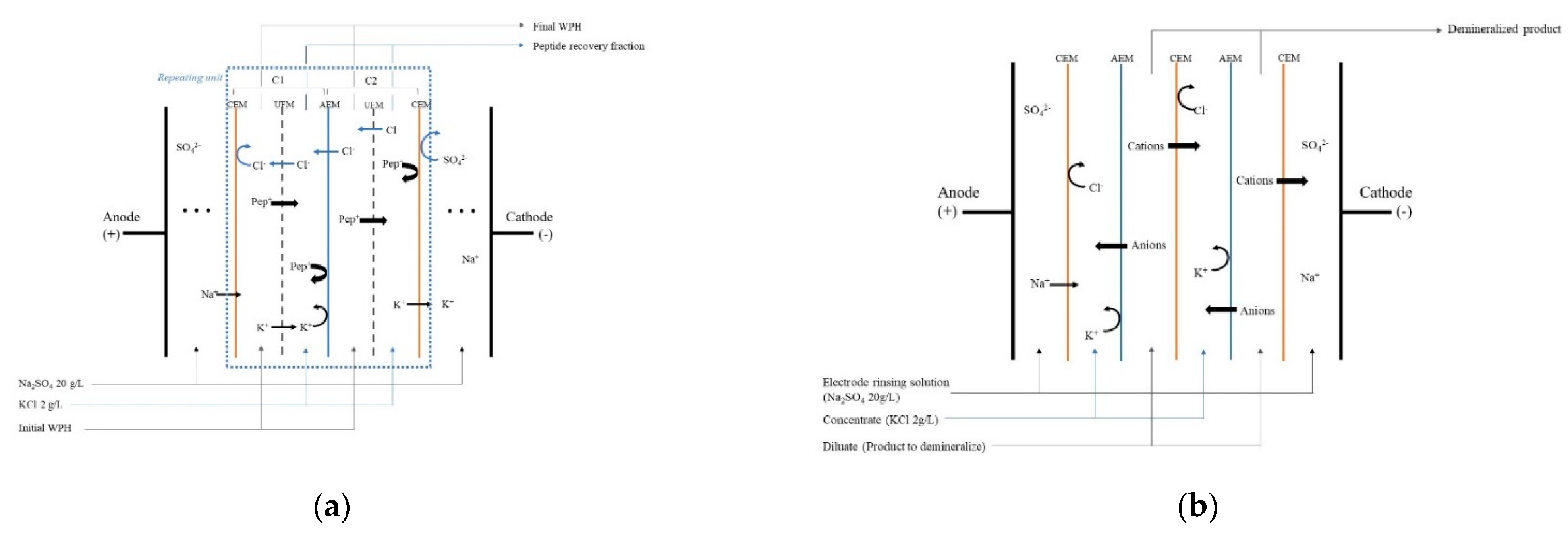 Membranes 12 00409 g001 550