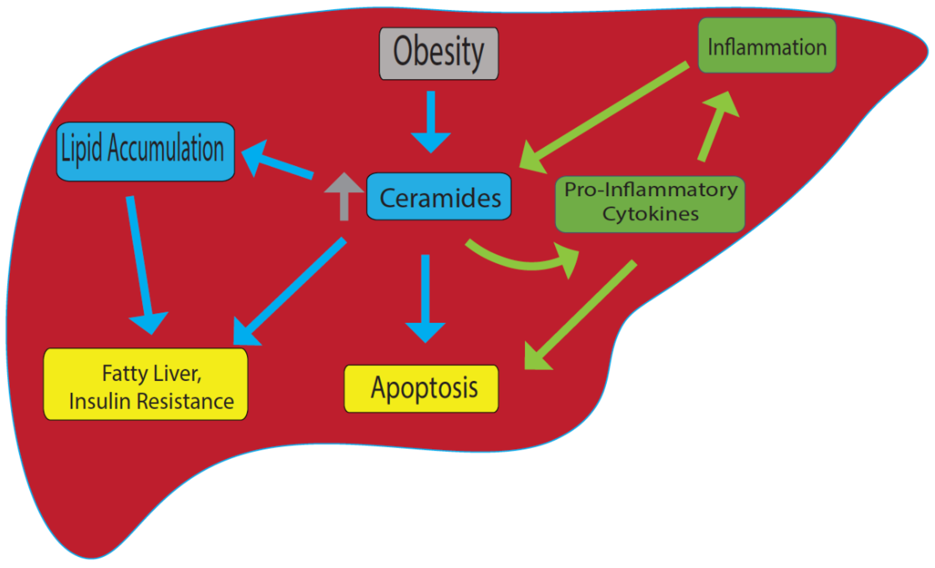 Membranes 12 00410 g001