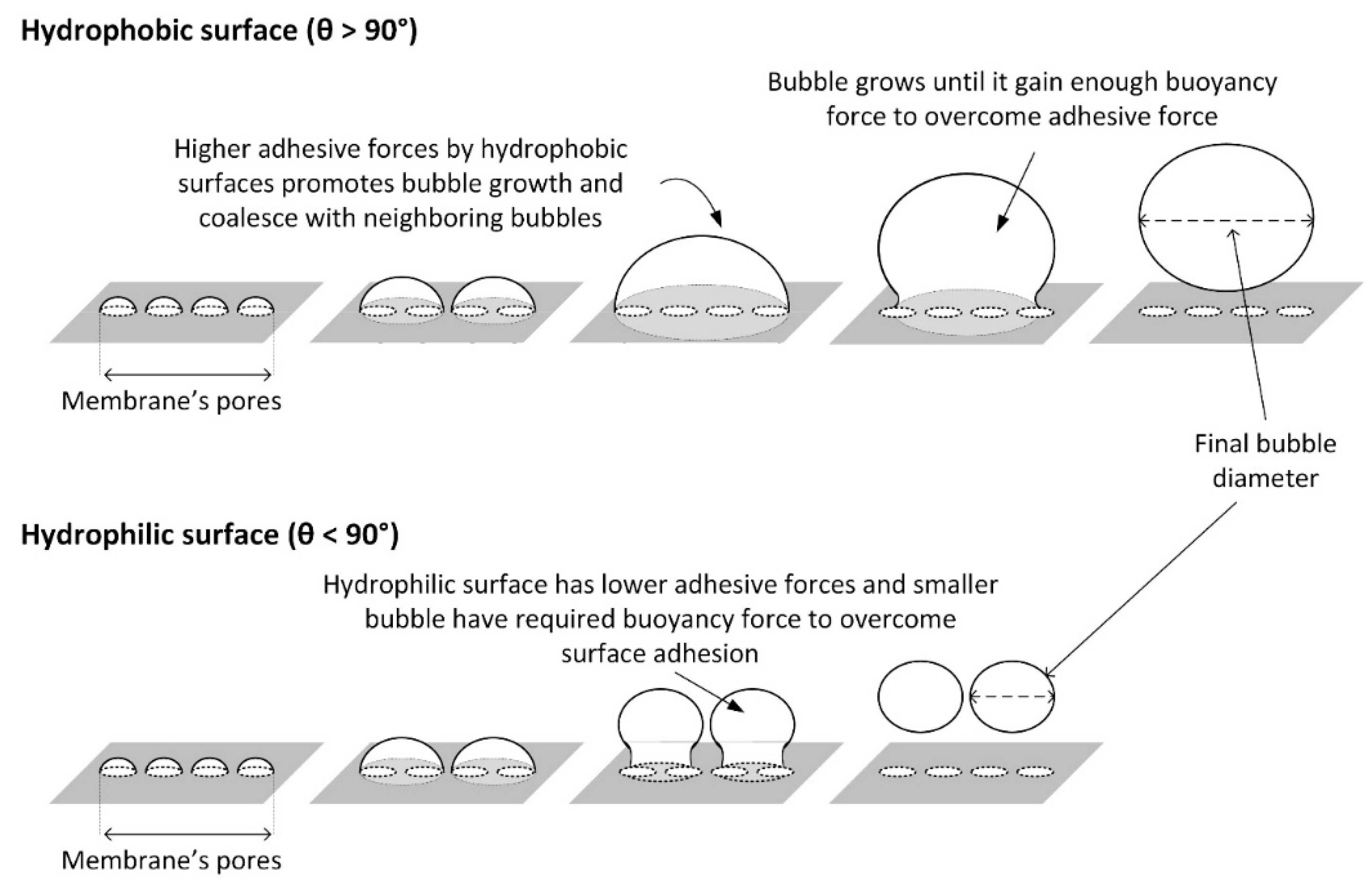Membranes 12 00414 g007 Membranes 12 00414 g007