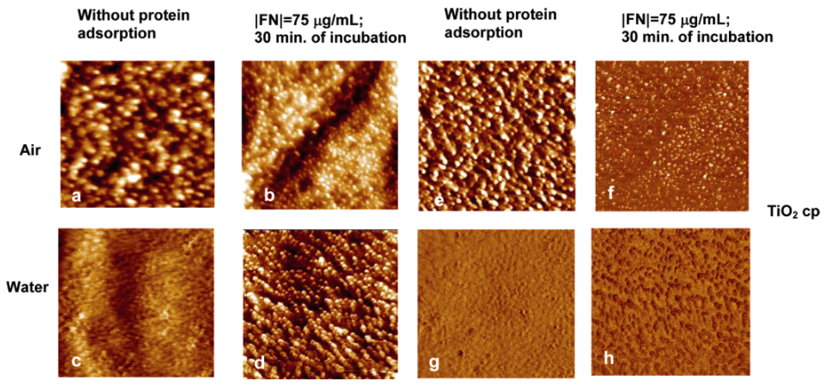 Membranes 12 00415 g003 Membranes 12 00415 g003