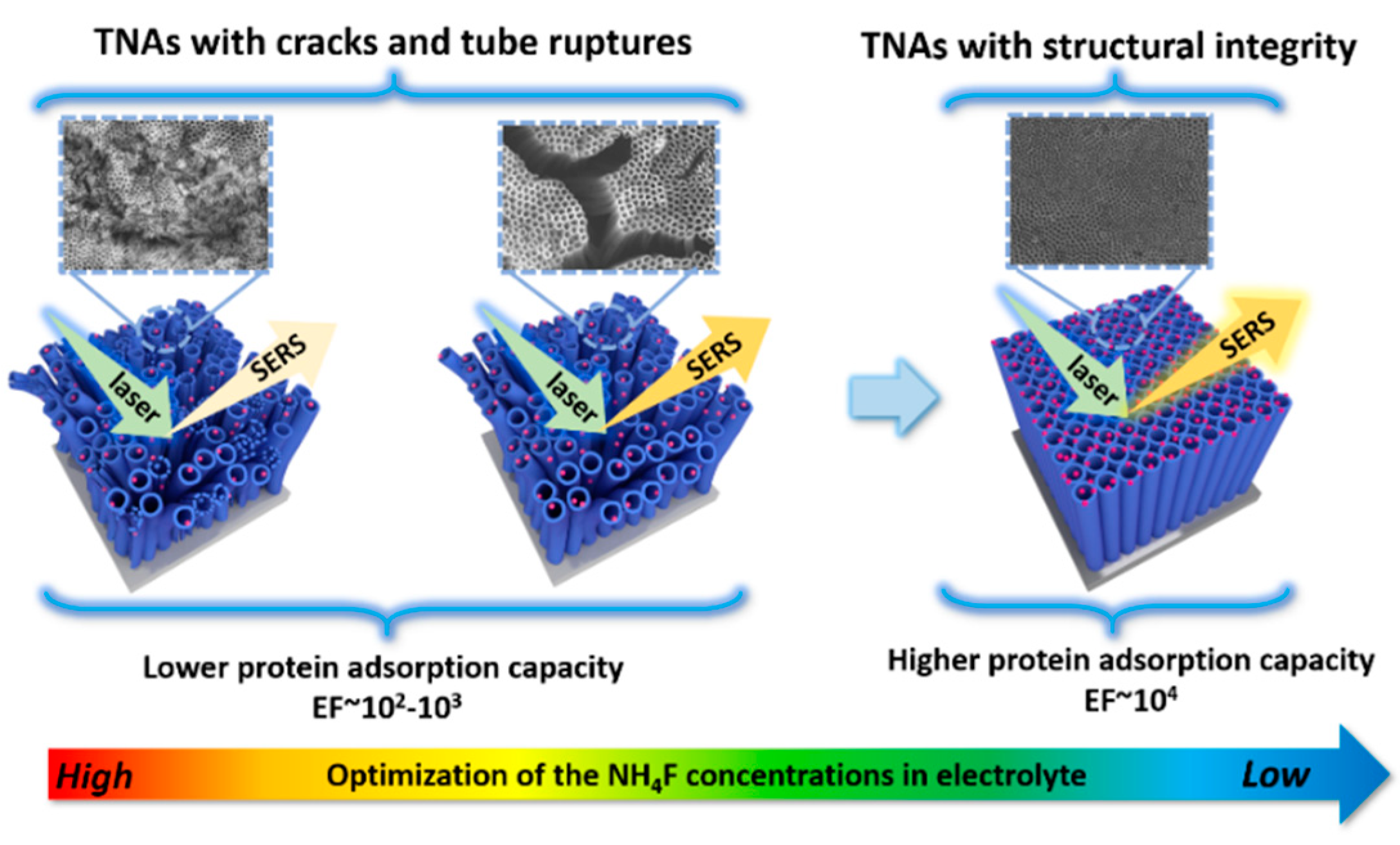 Membranes 12 00415 g009 Membranes 12 00415 g009