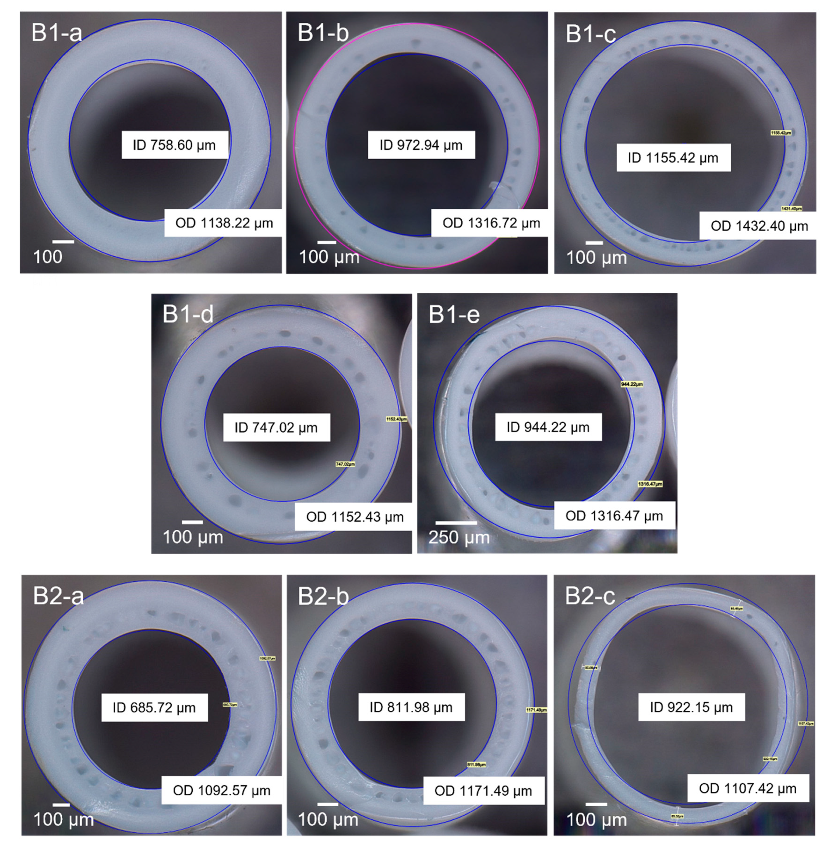 Membranes 12 00423 g003
