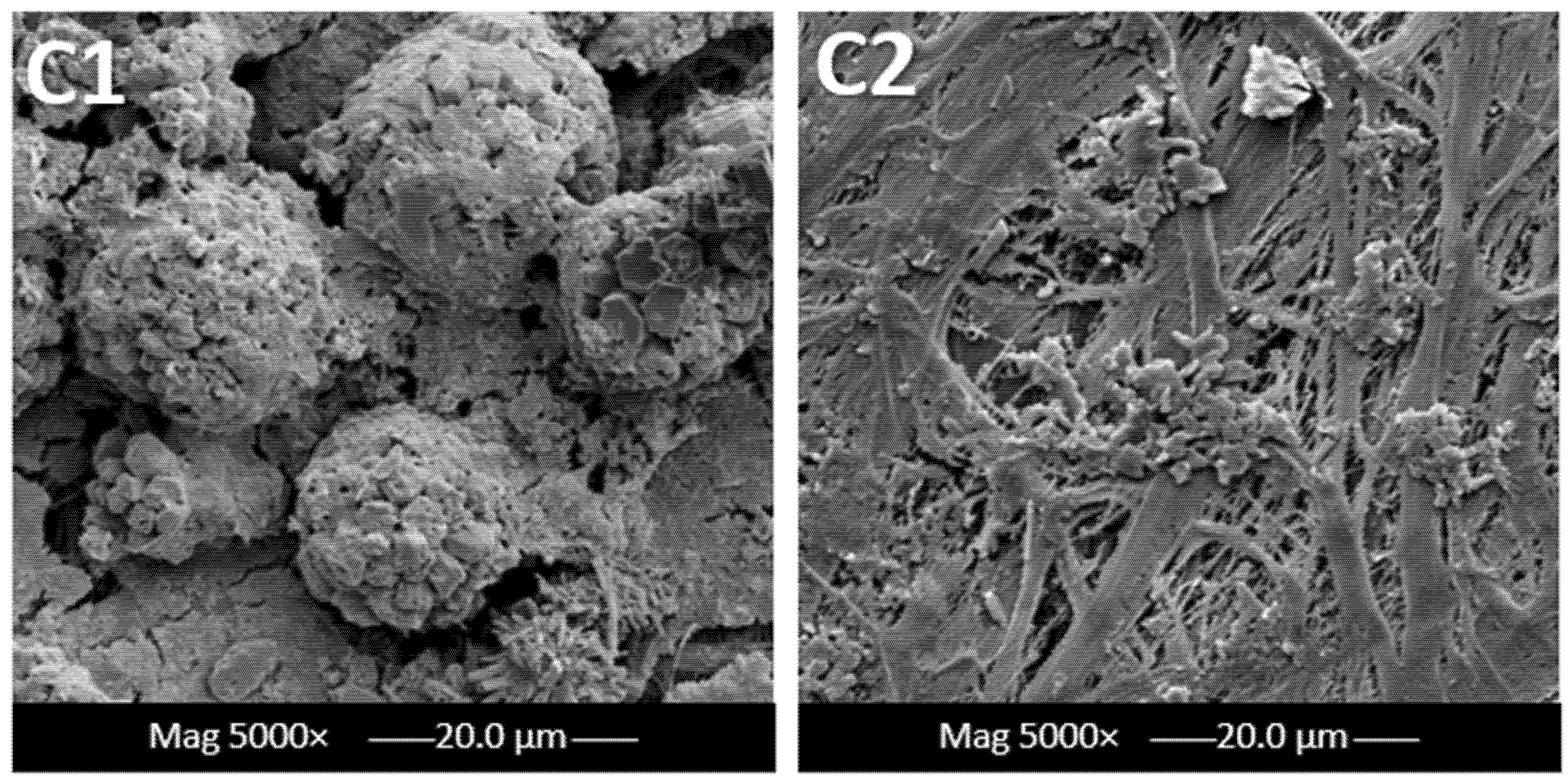 Membranes 12 00424 g004