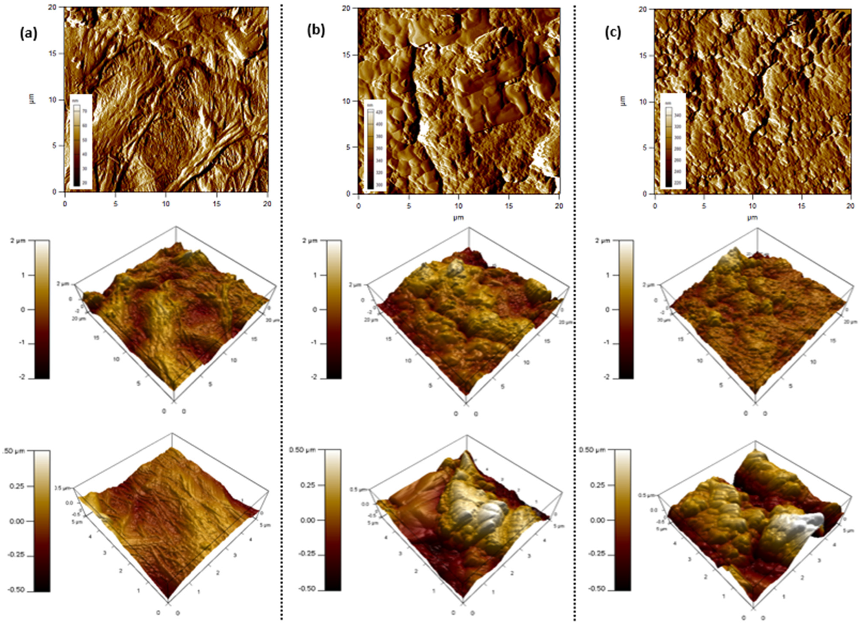 Membranes 12 00424 g005