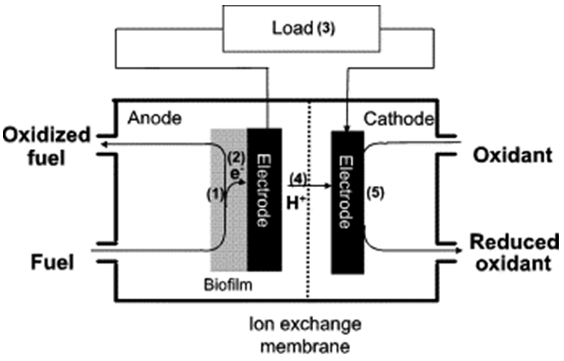 Membranes 12 00427 g001