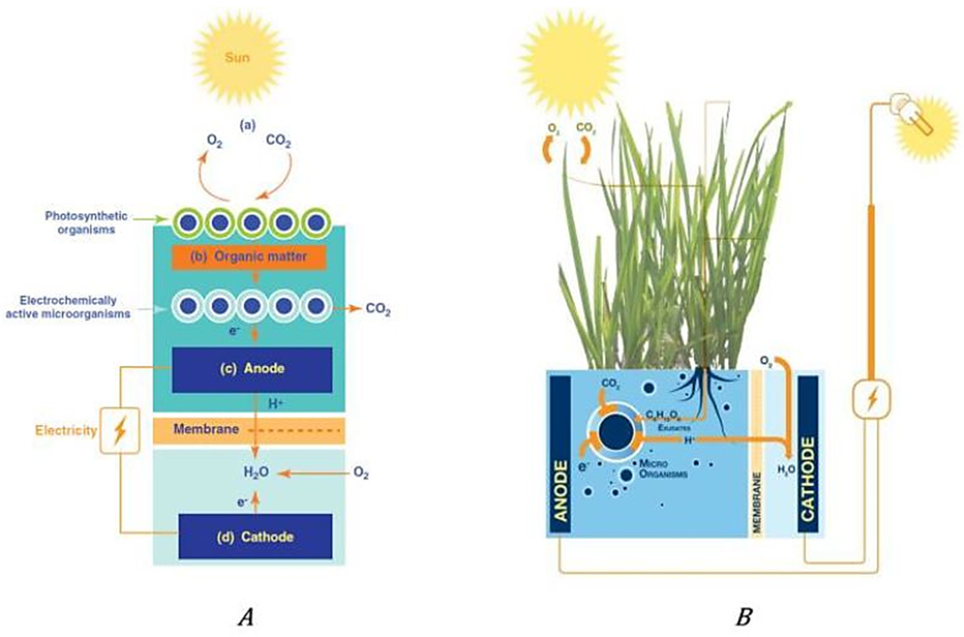 Membranes 12 00427 g003