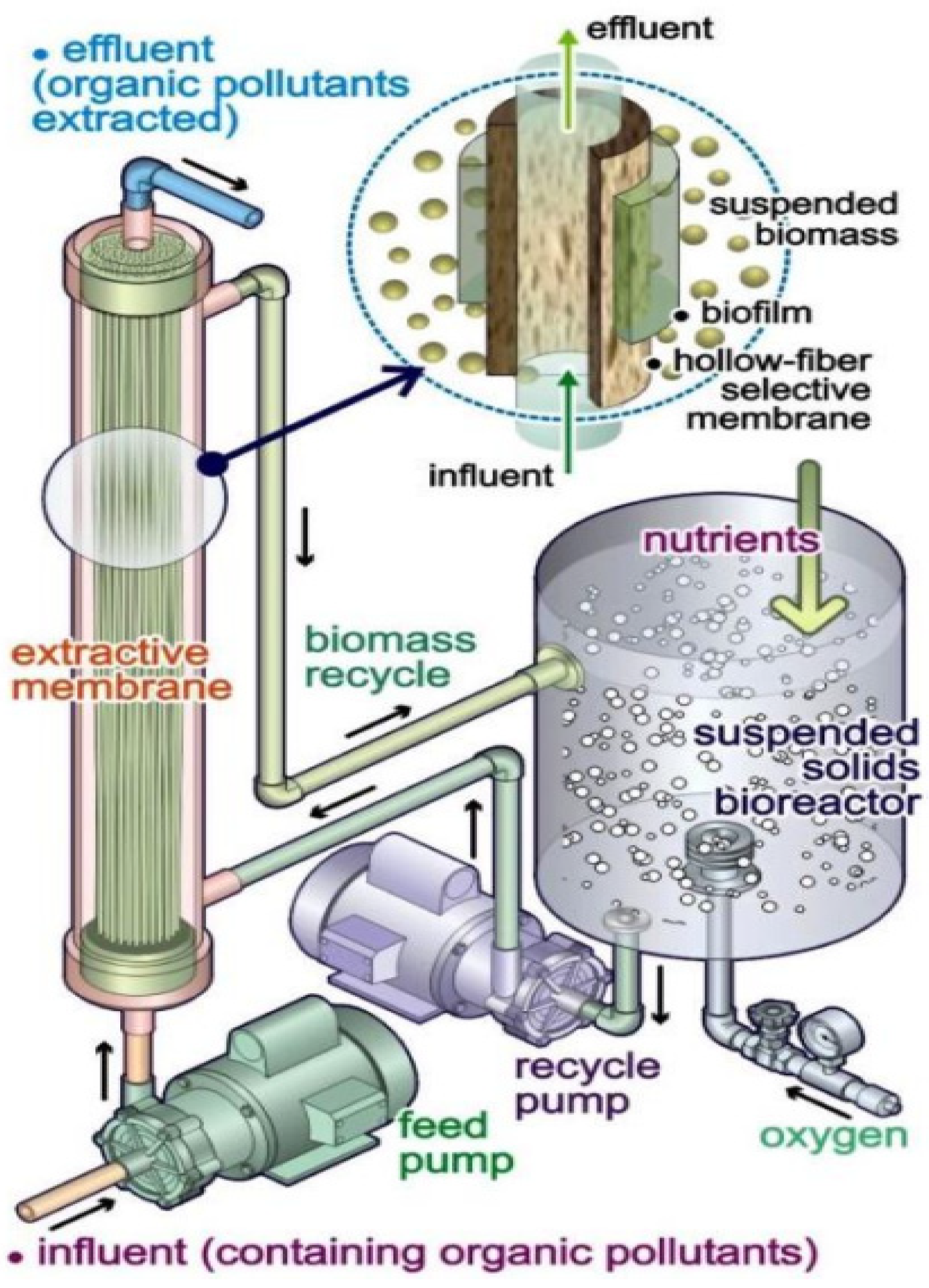 Membranes 12 00429 g002