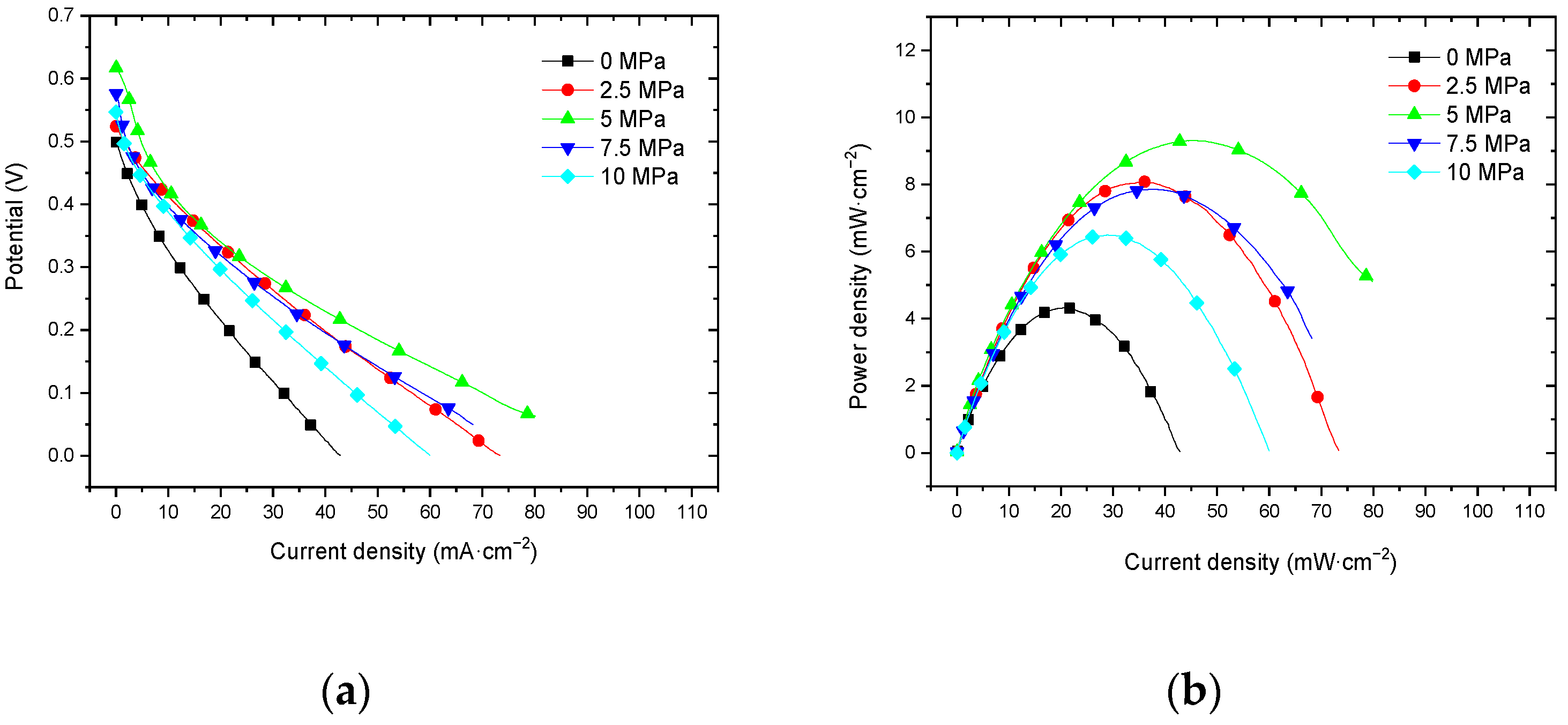 Membranes 12 00431 g011