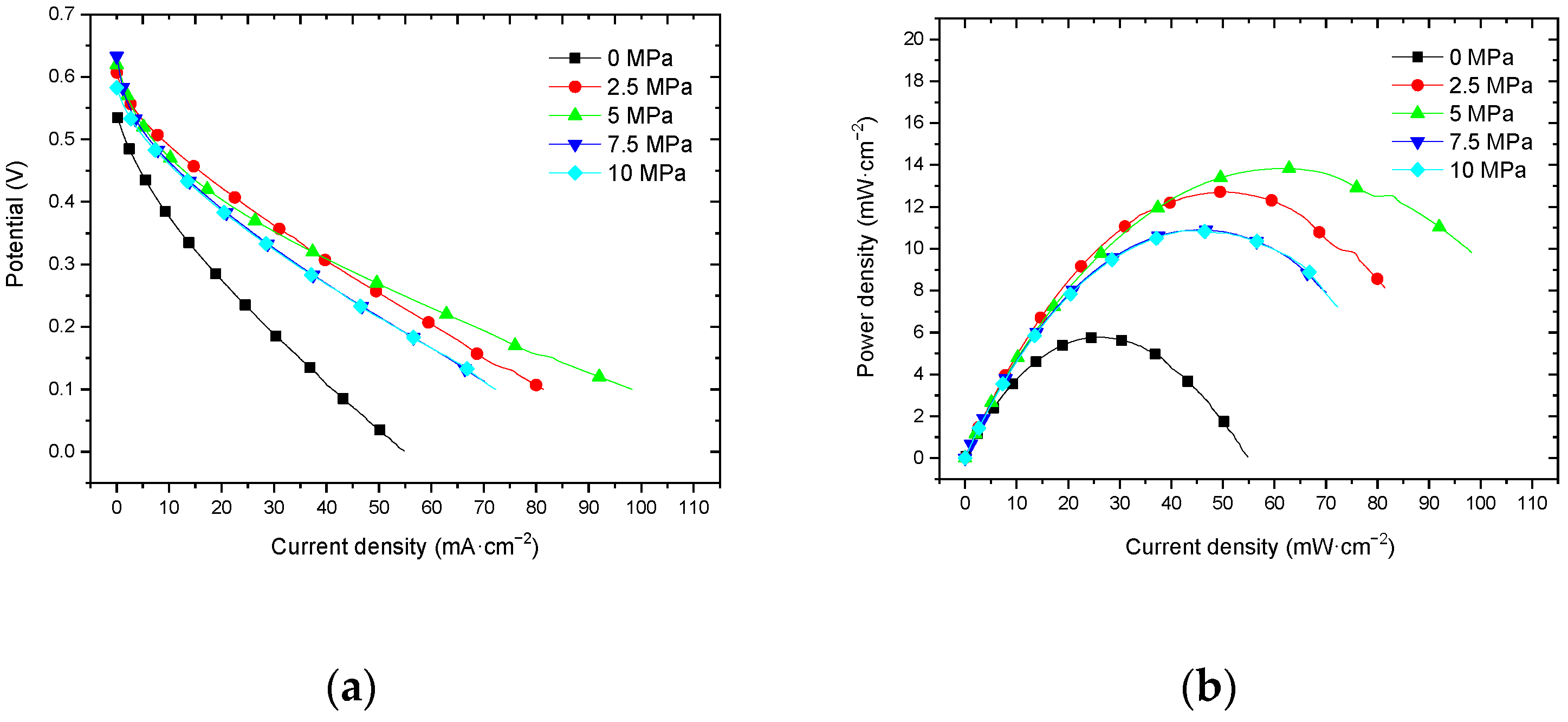 Membranes 12 00431 g012