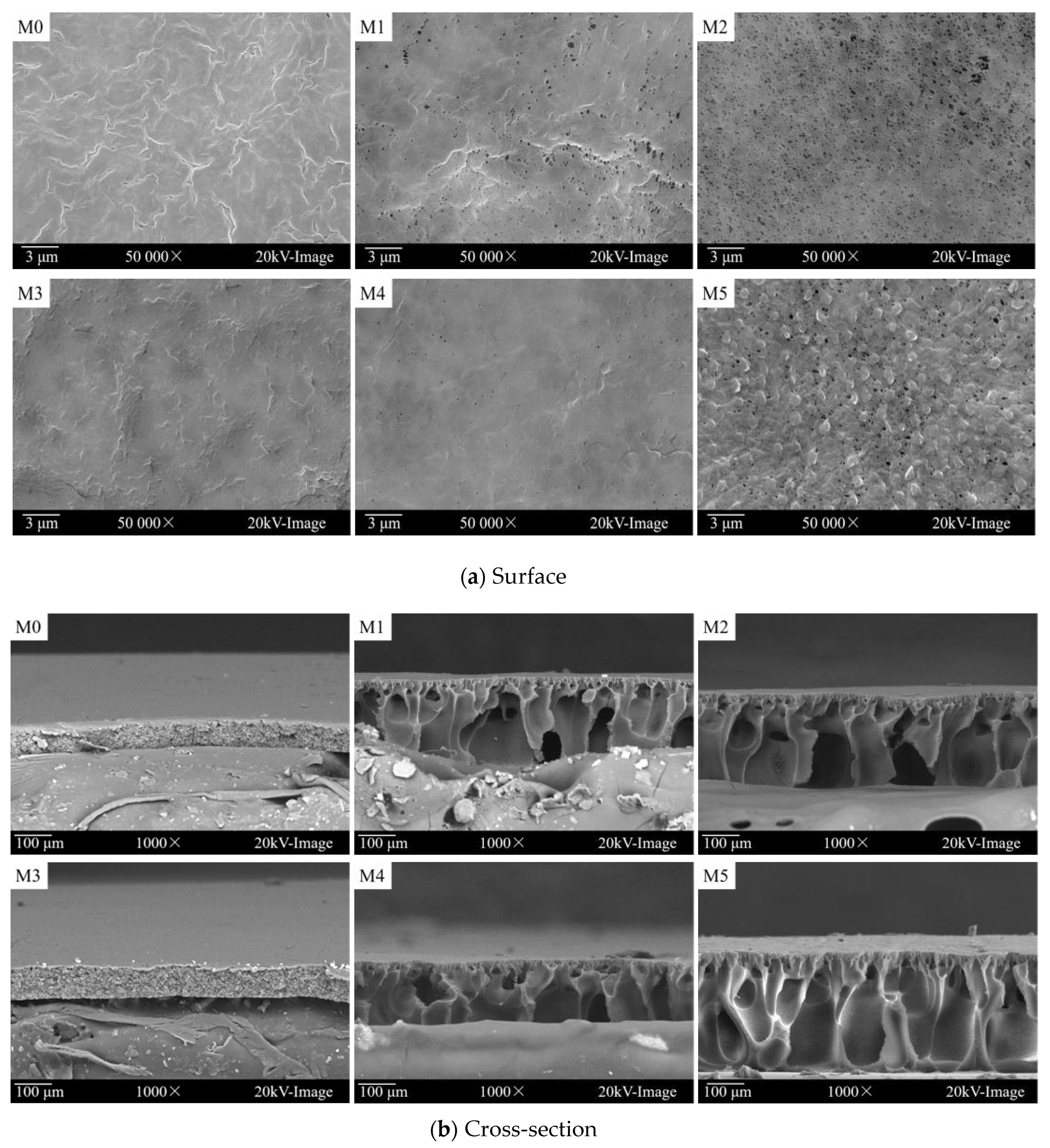 Membranes 12 00438 g003 550
