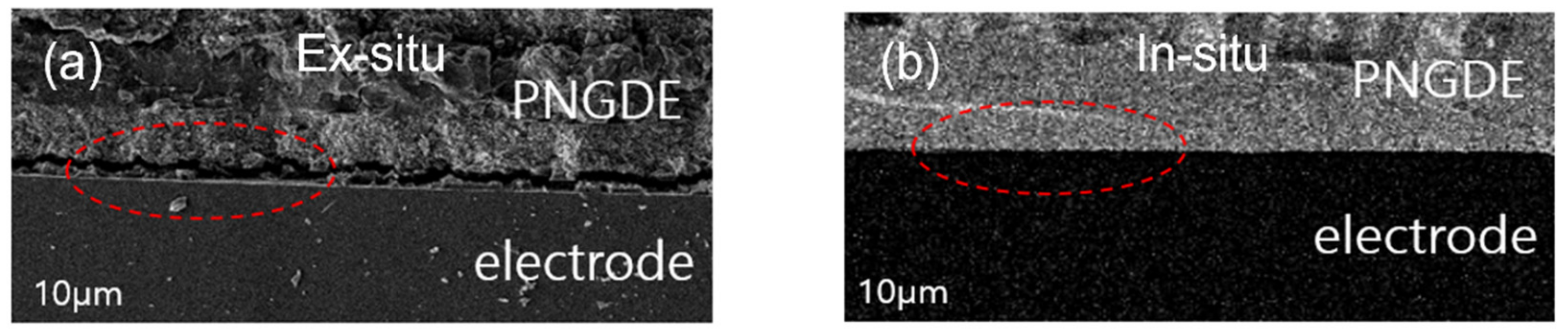 Membranes 12 00439 g003