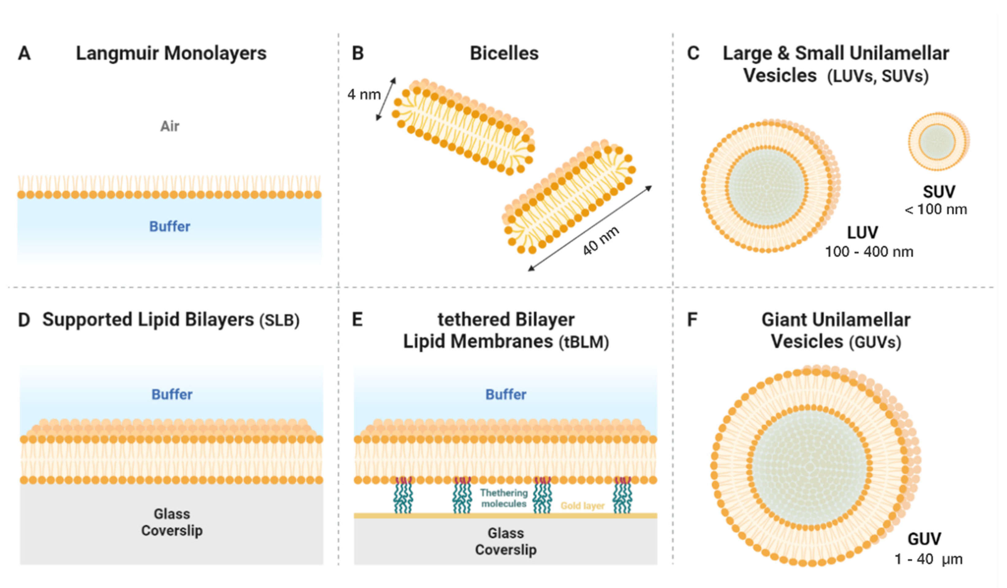 Membranes 12 00441 g002 Membranes 12 00441 g002